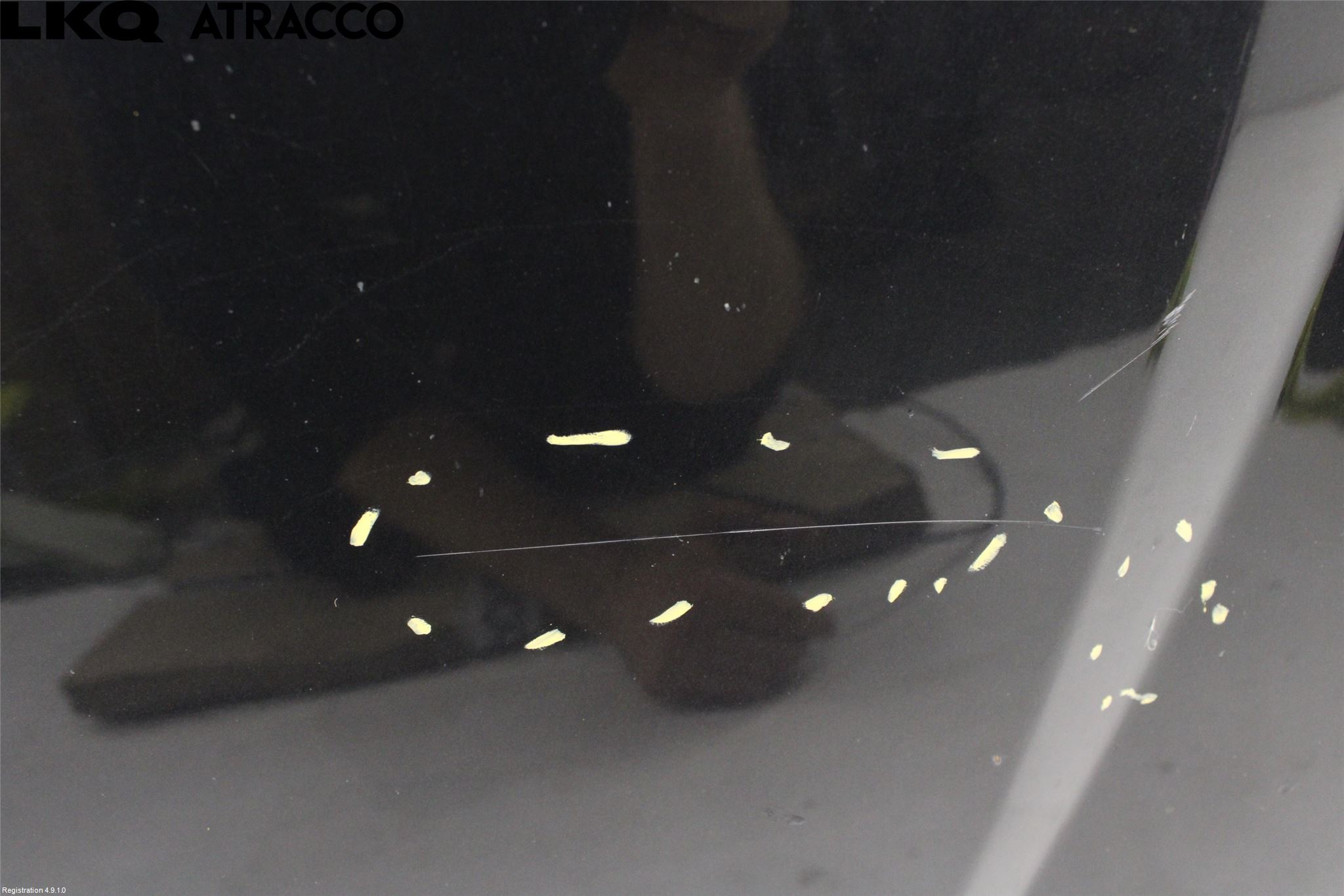 BMW X1 E84 10-15 Panser