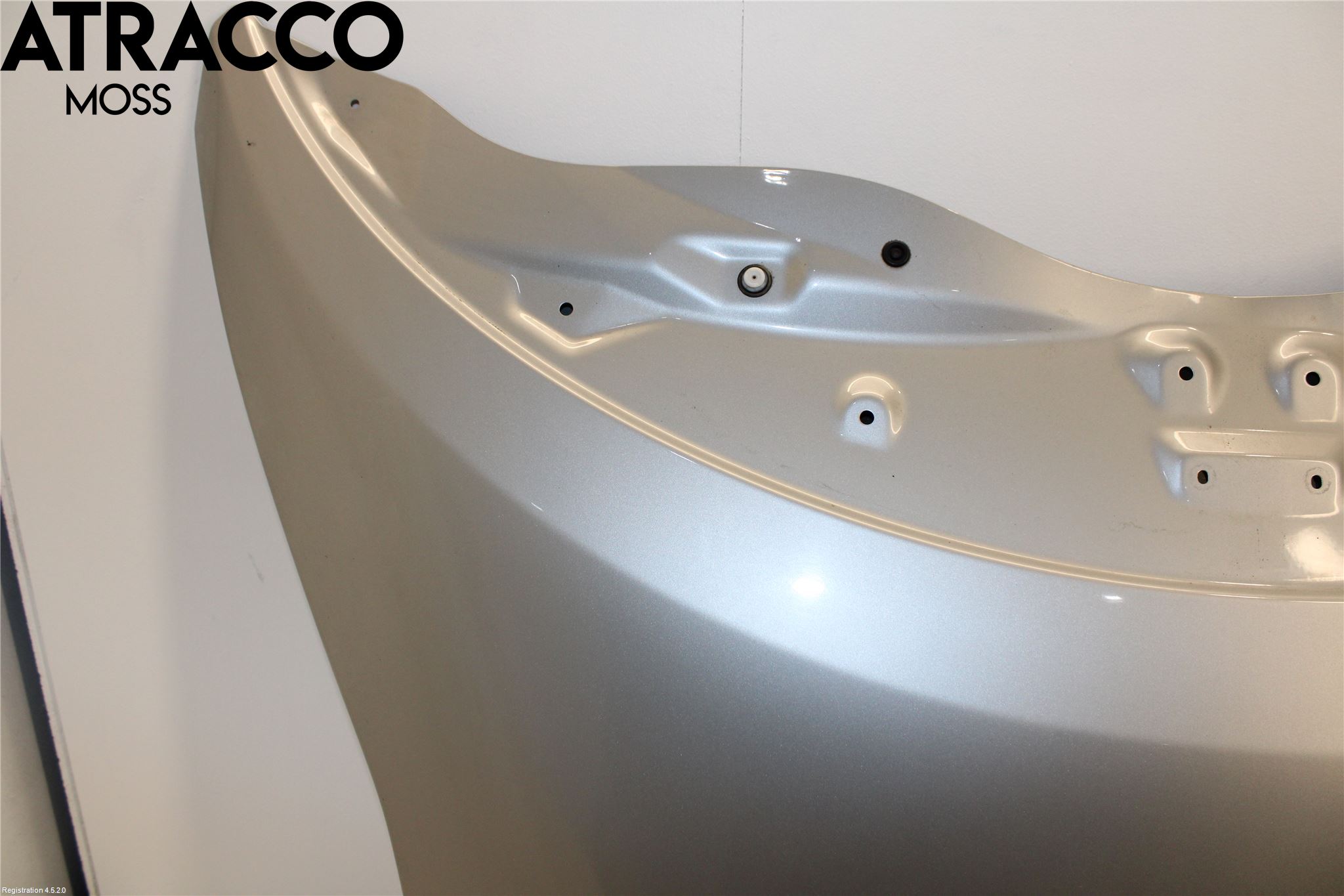 Nissan LEAF 11-17 Panser