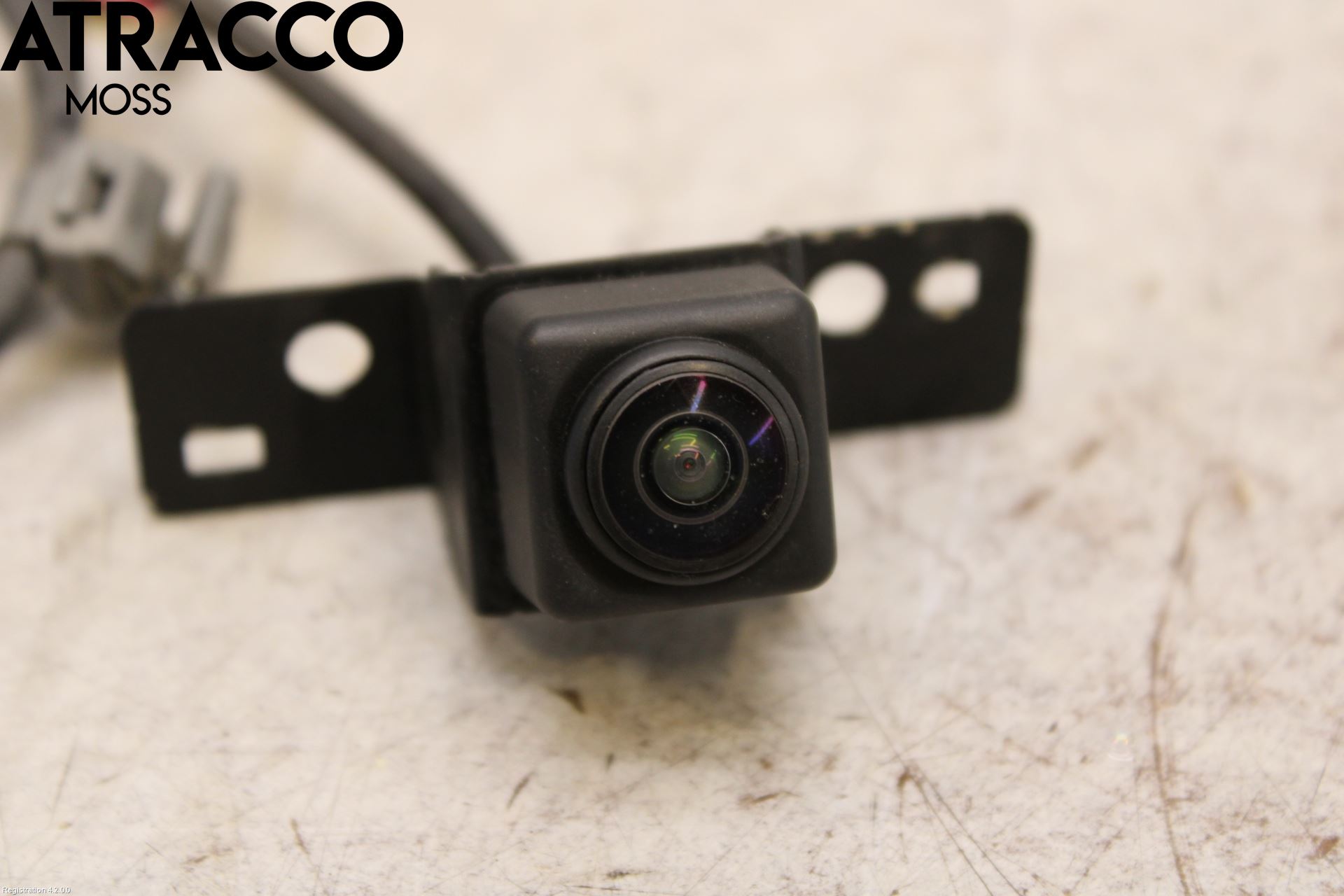 Nissan LEAF 18- Parkeringshjelp Kamera