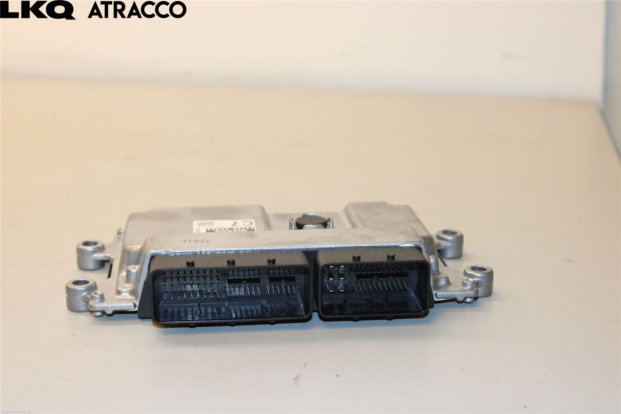 Nissan LEAF 18- Styreenhet Innsprøytning