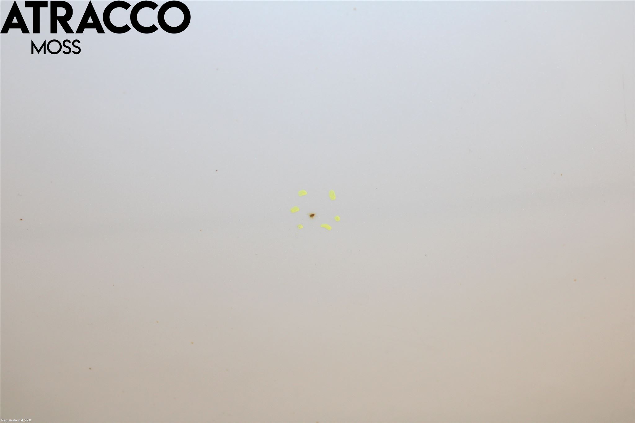 BMW 1 F20/F21 11-19 Dør 4D Bak Venstre