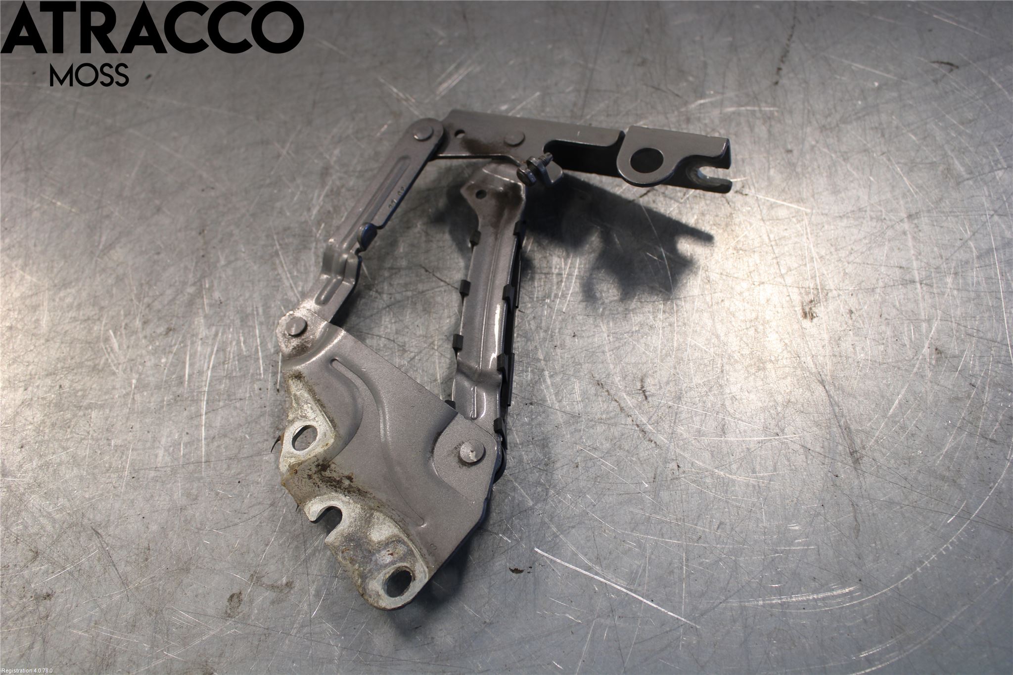 Volkswagen VW GOLF PLUS/CROSS GOLF 04-14 Panser Hengsel - Hengsler