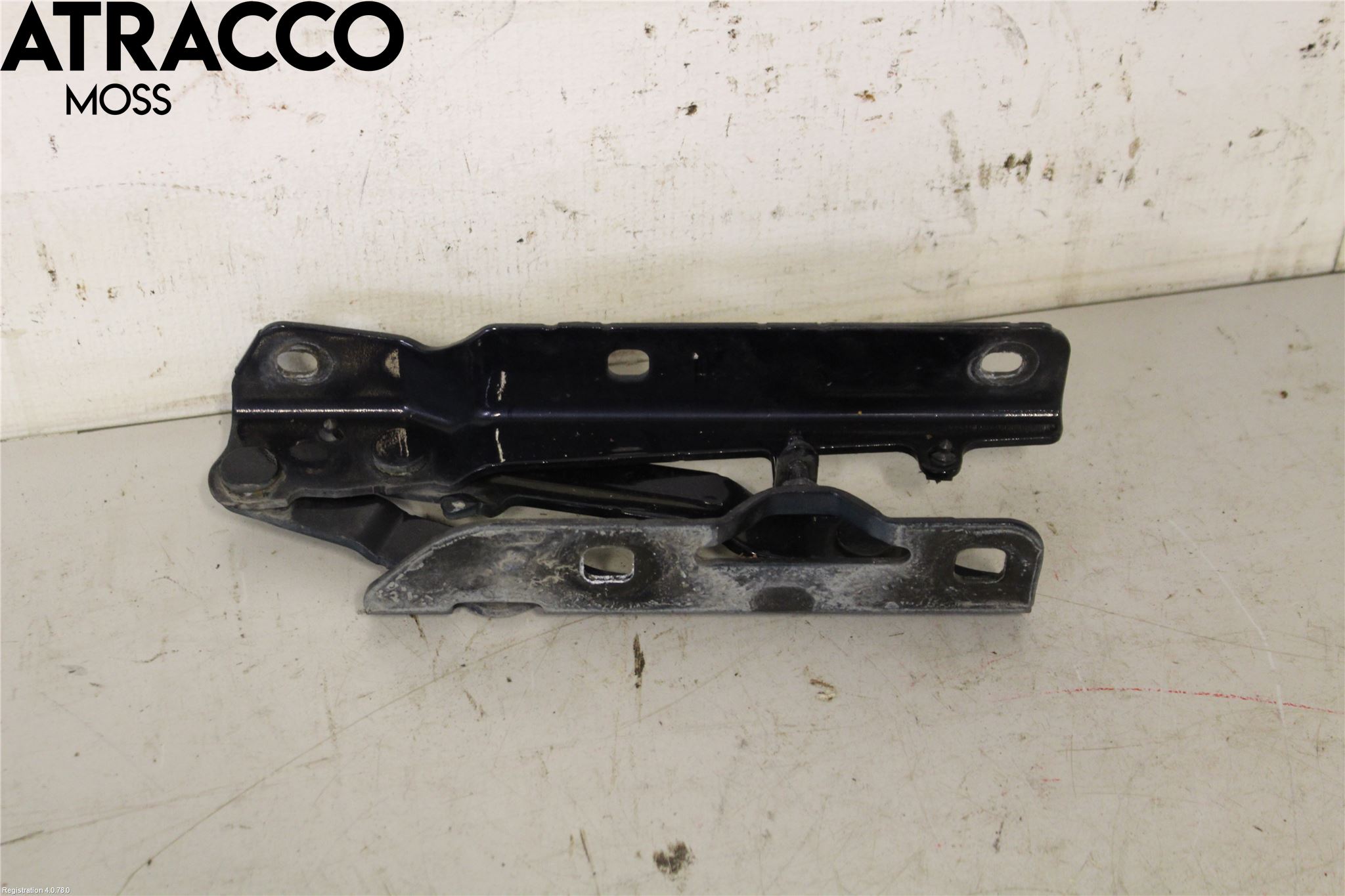 Tesla MODEL S 13- Panser Hengsel - Hengsler