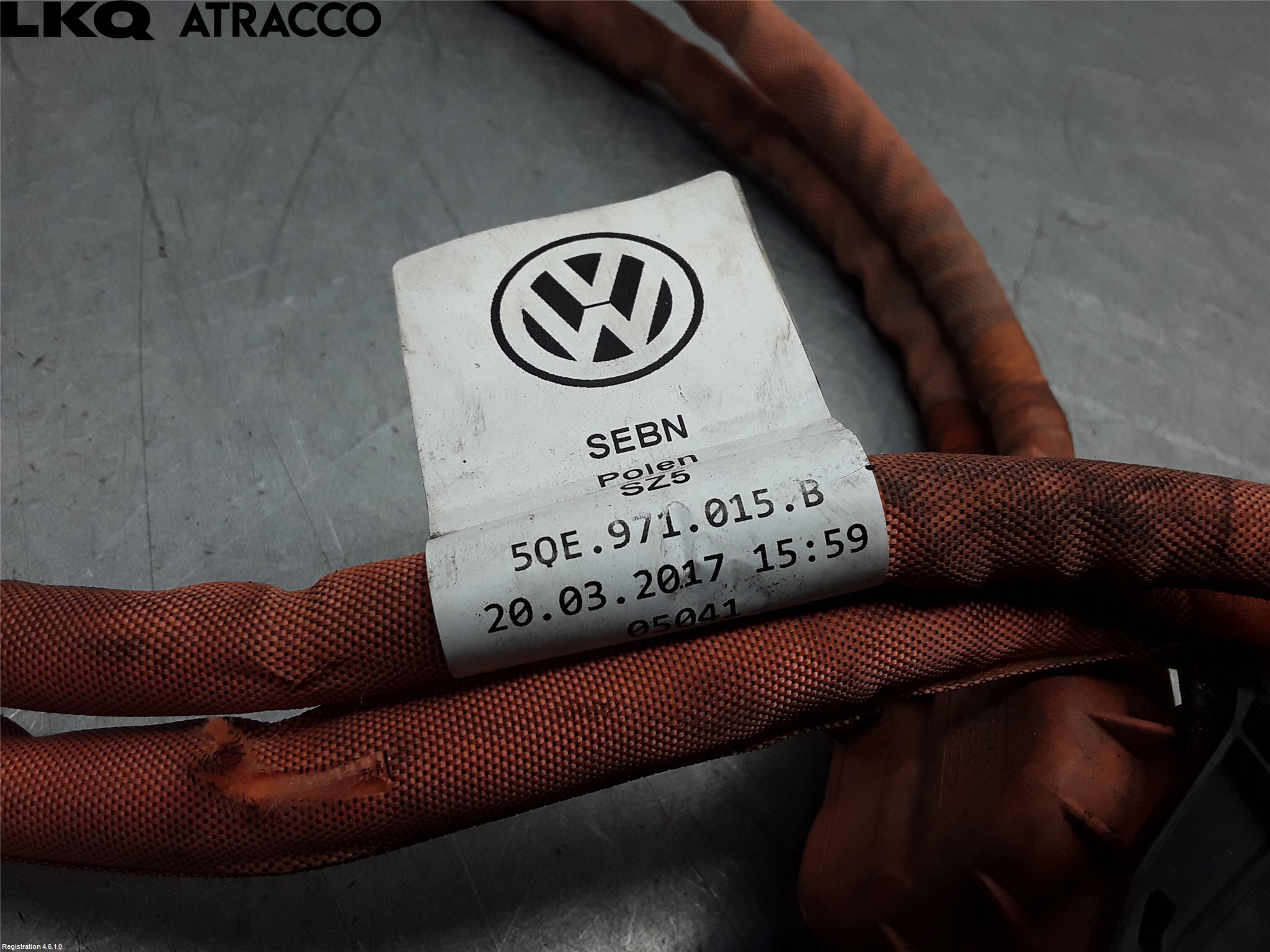 Volkswagen VW GOLF / E-GOLF VII 13-20 Ledningsnett