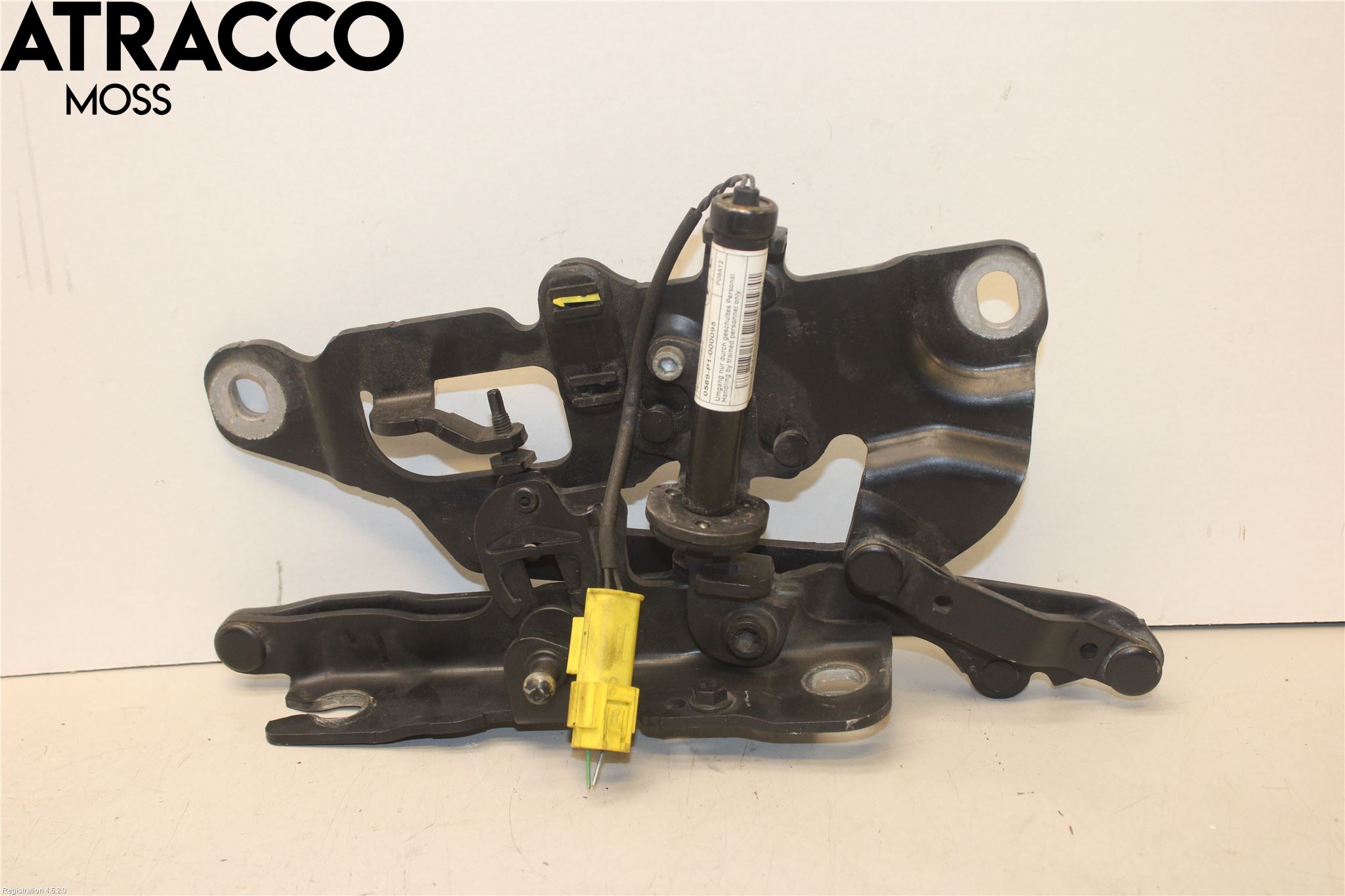 BMW 5 F10/F11/F18 09-17 Panser Hengsel - Hengsler