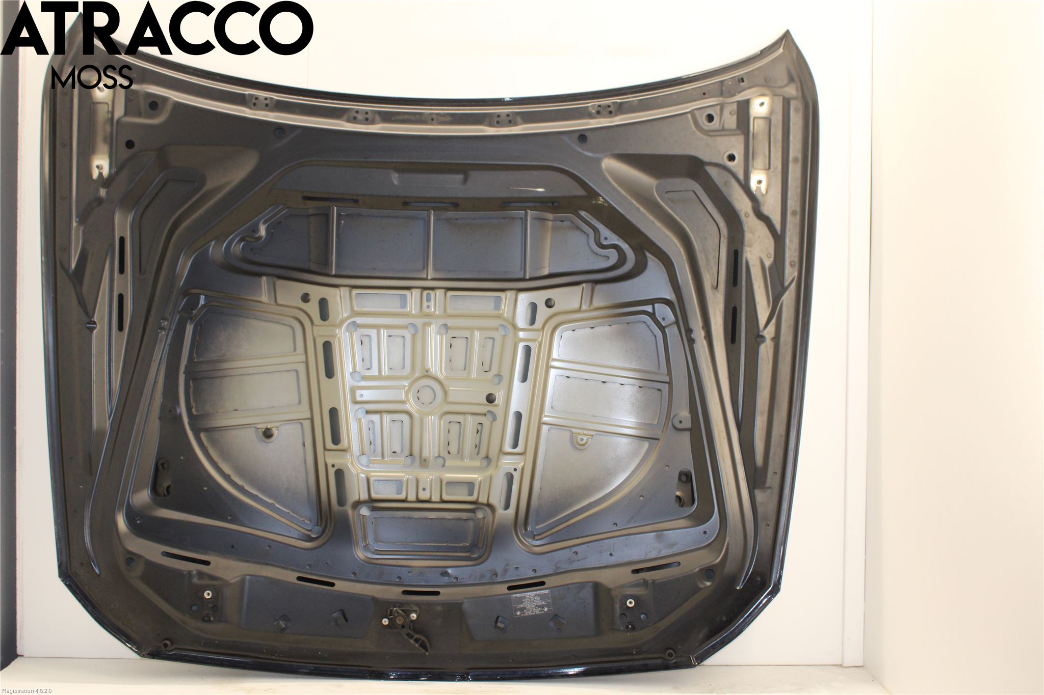 BMW 5 F10/F11/F18 09-17 Panser