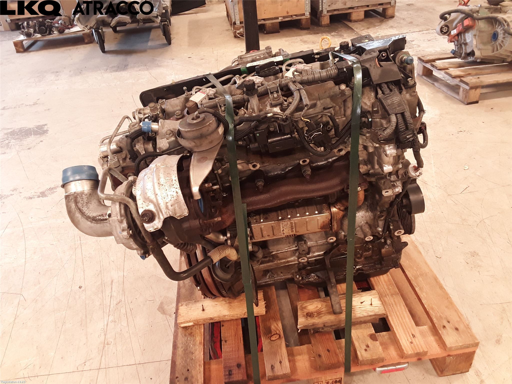 Nissan QASHQAI+2  08-10 Motor Diesel