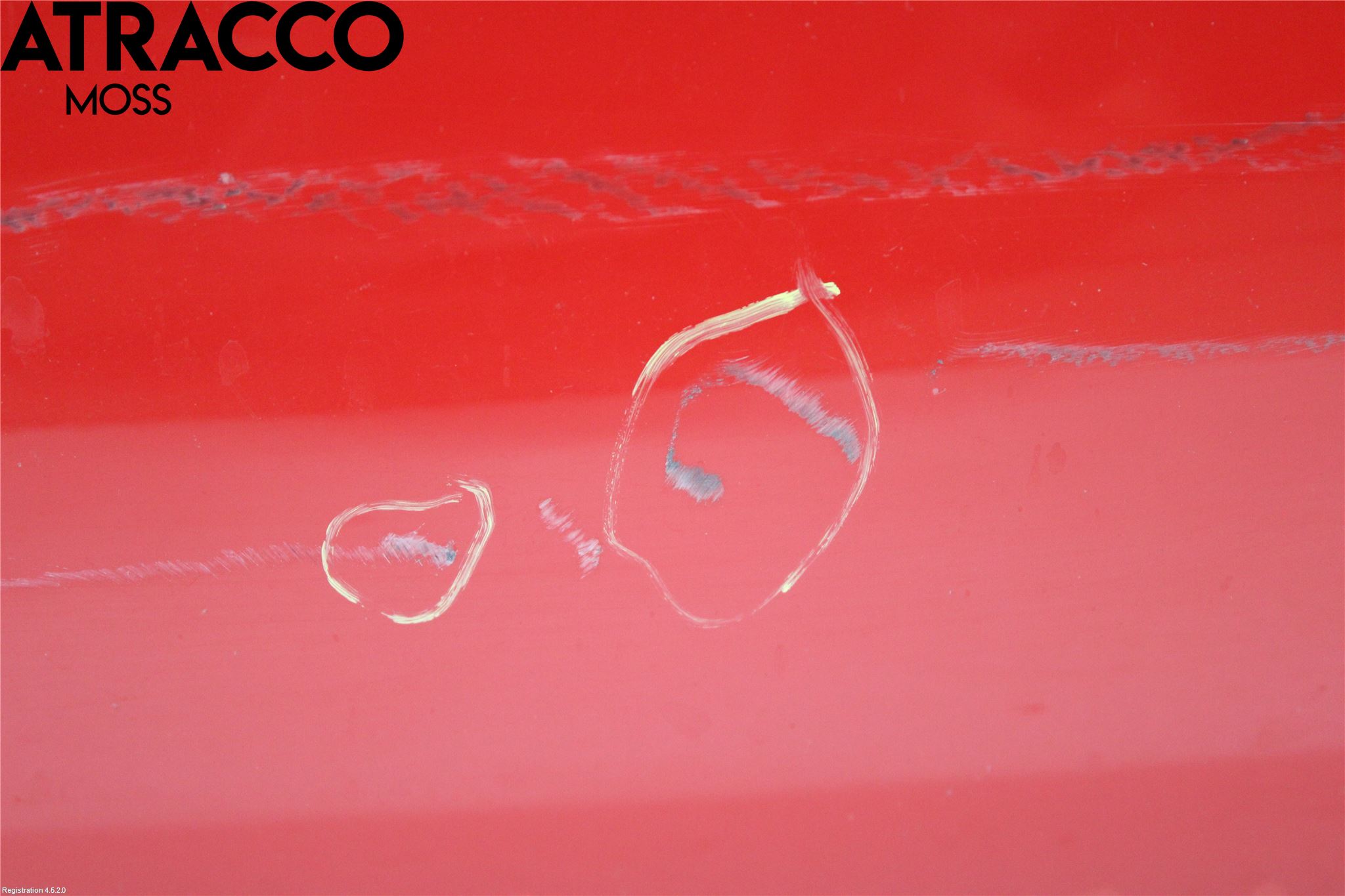 Ford TRANSIT CONNECT 09-13 Panser