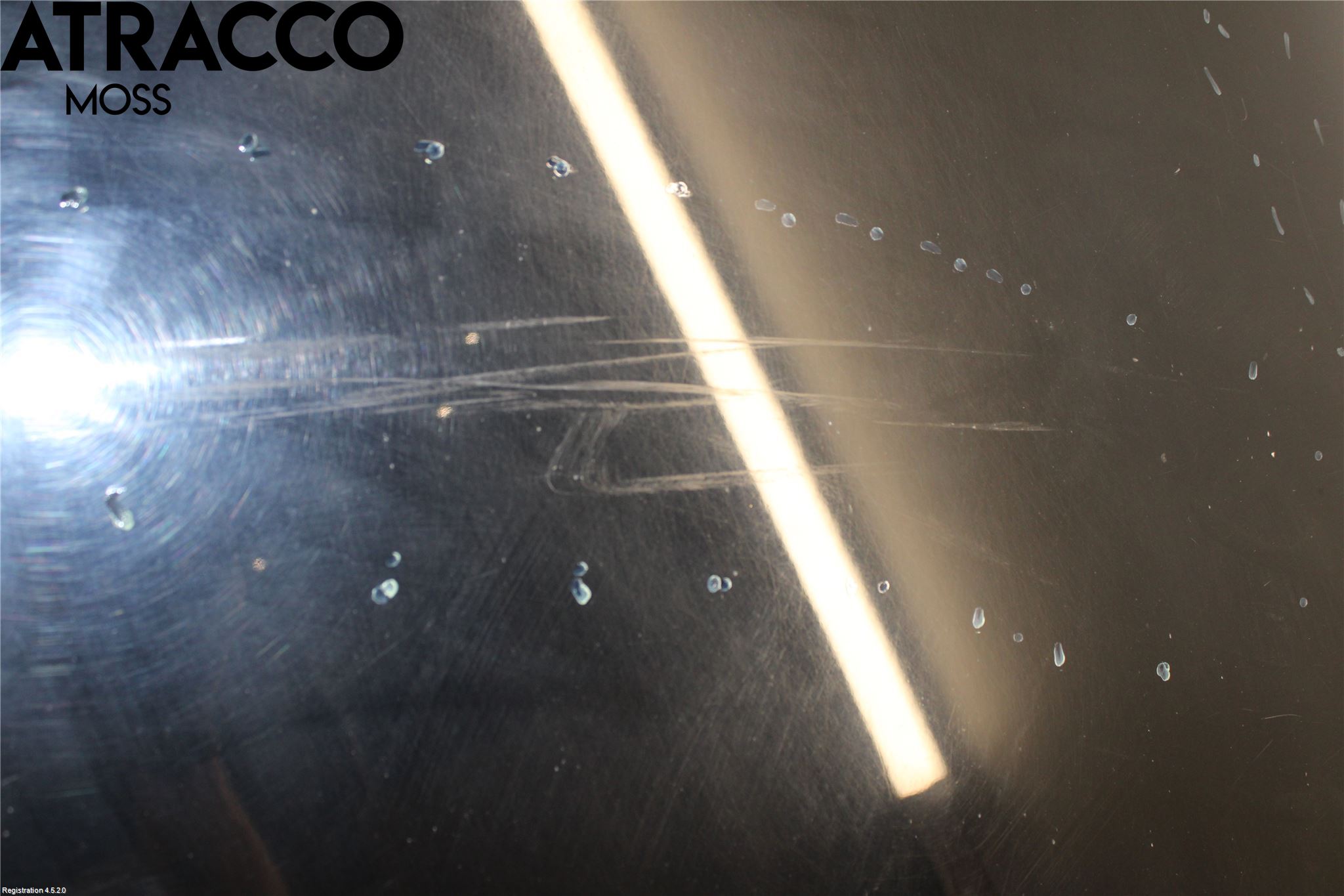 Audi A6/S6     05-11 Panser