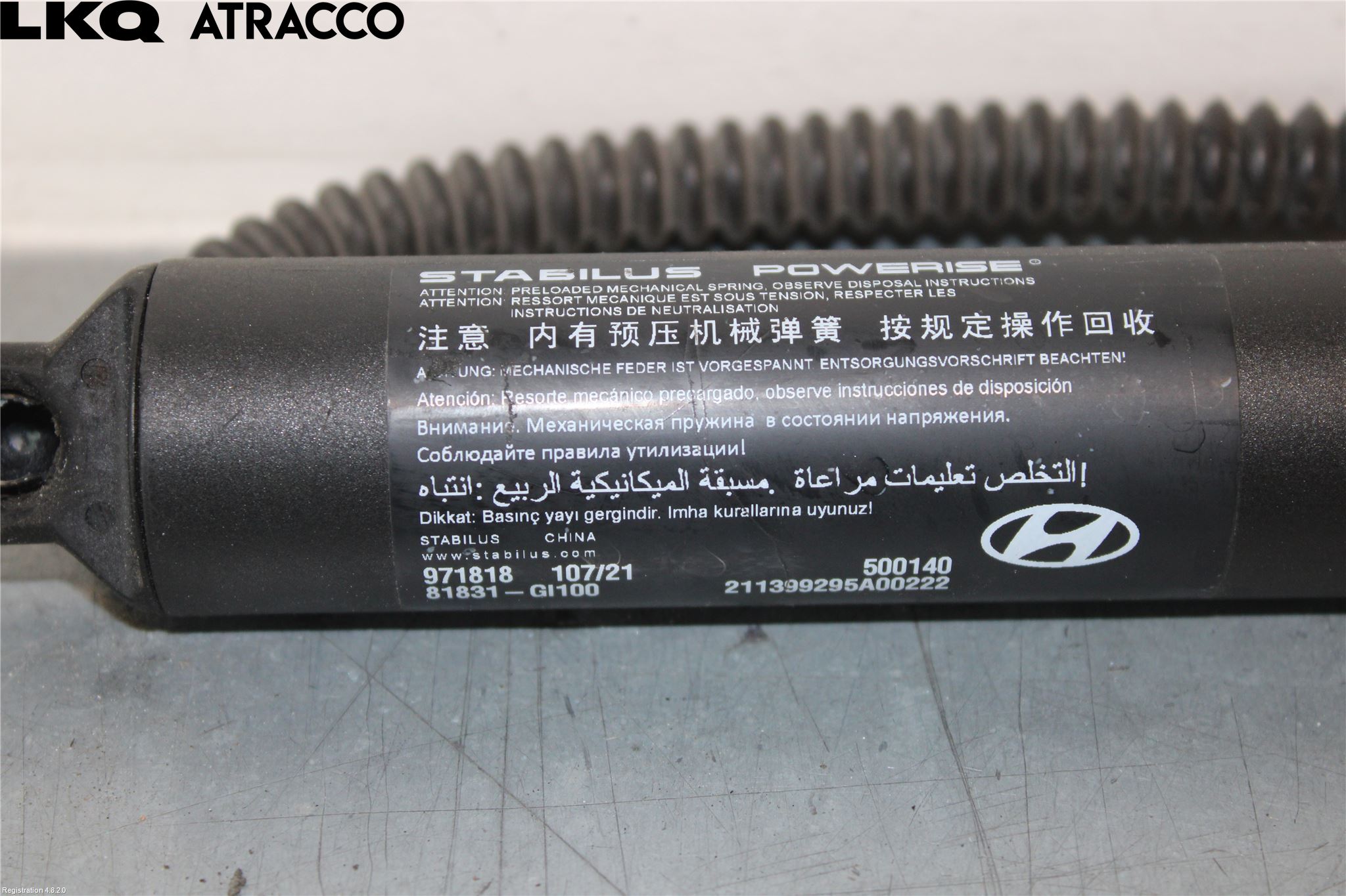 Hyundai IONIQ 5 NE 22- Bakluke Demper-Gassfjær