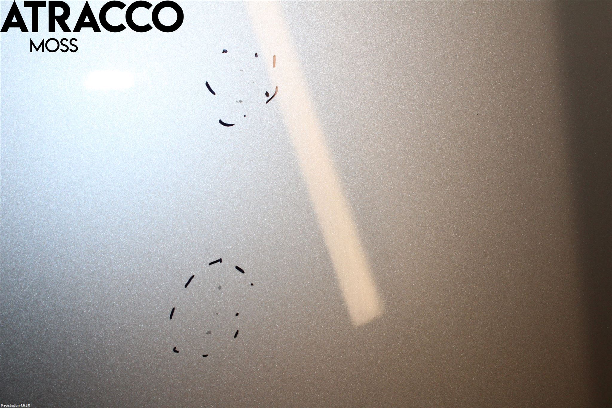 Opel INSIGNIA 09-16 Panser