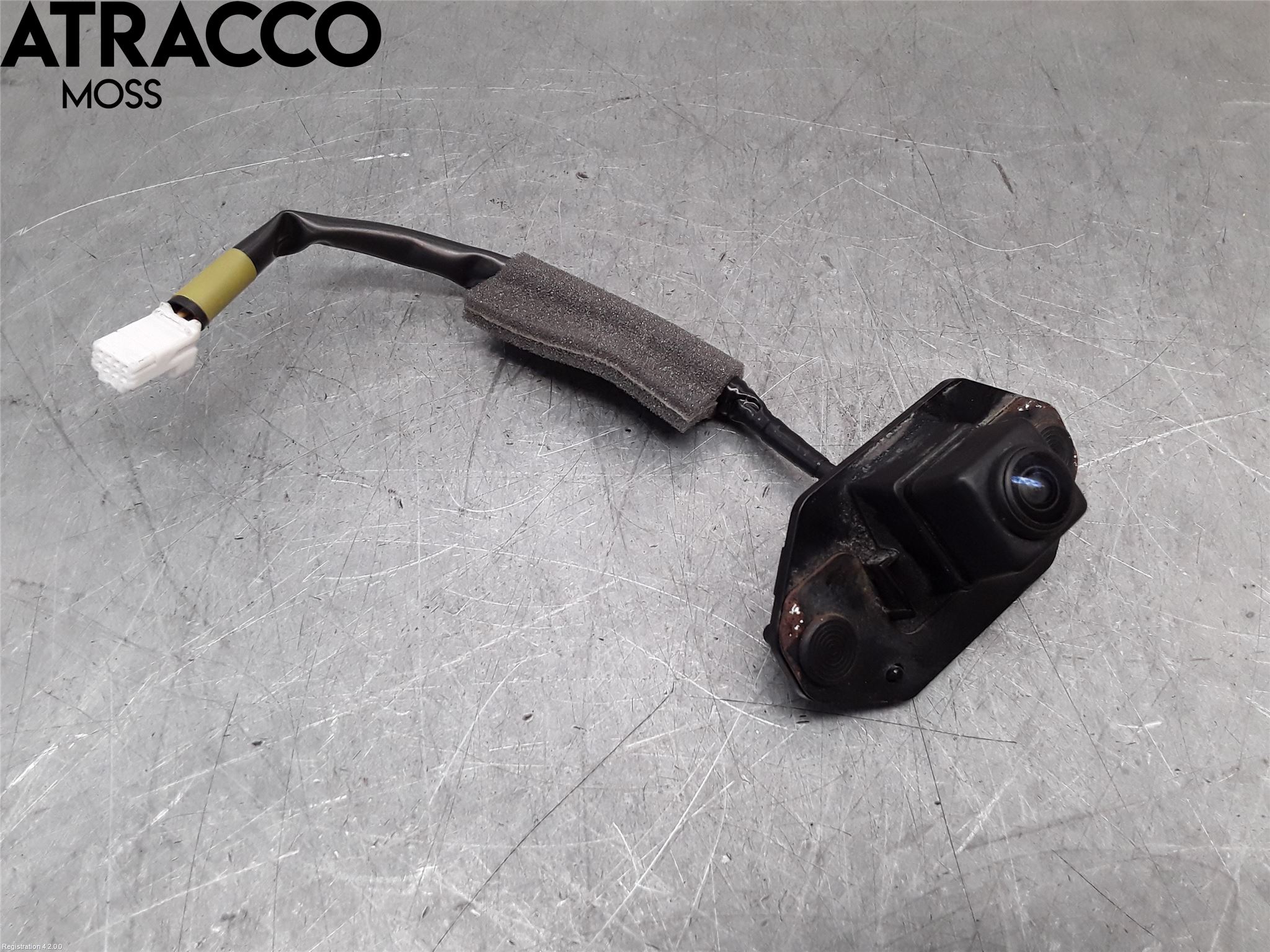 Nissan LEAF 18- Parkeringshjelp Kamera