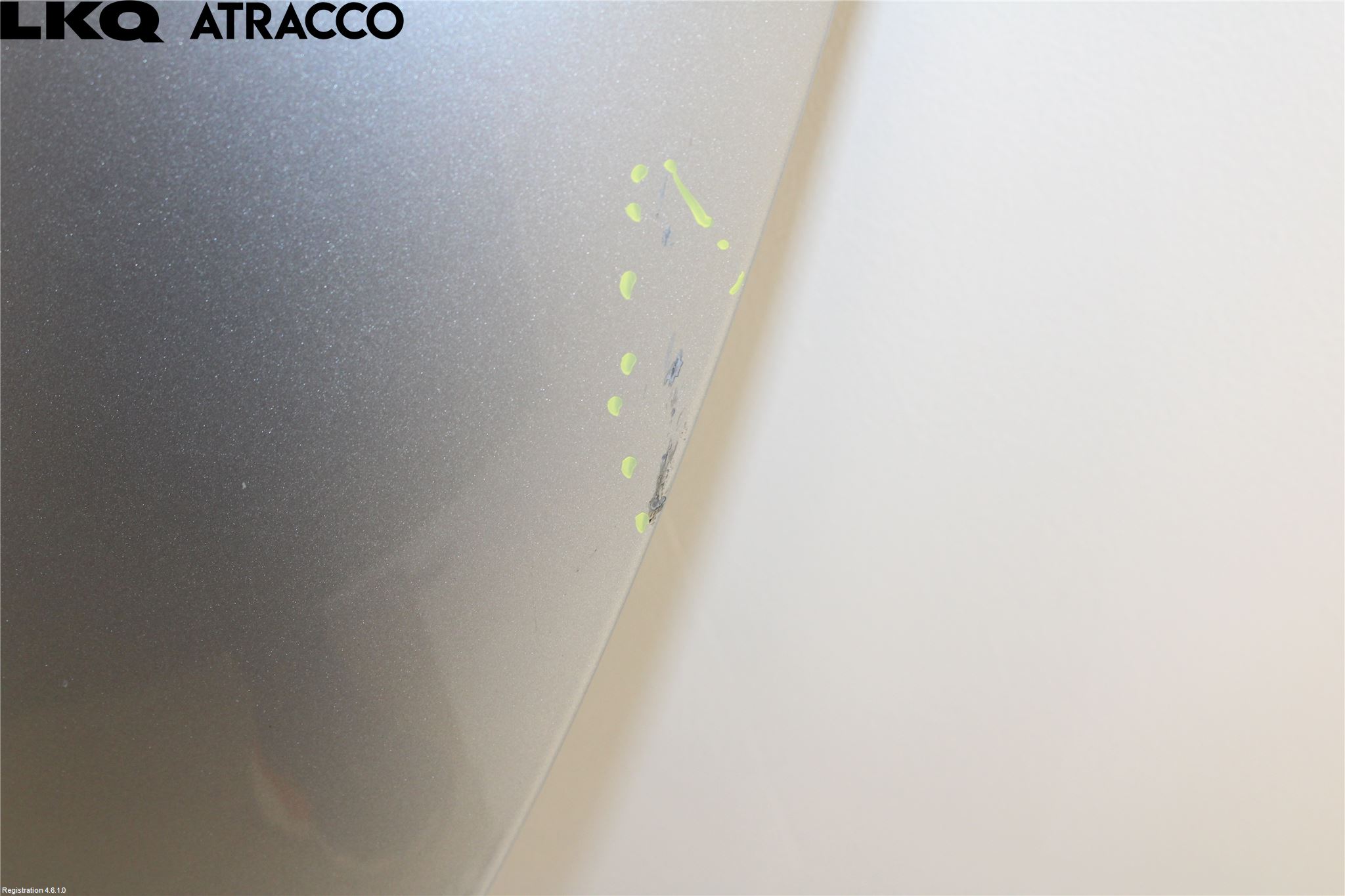 Renault ZOE/E-TECH 13- Panser