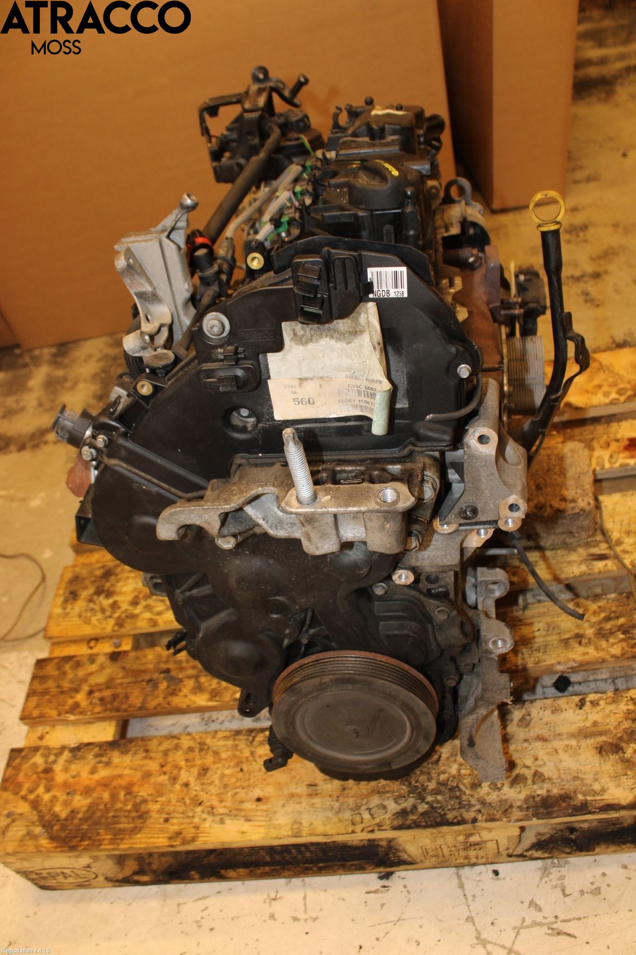 Ford FOCUS 11-14 Motor Diesel