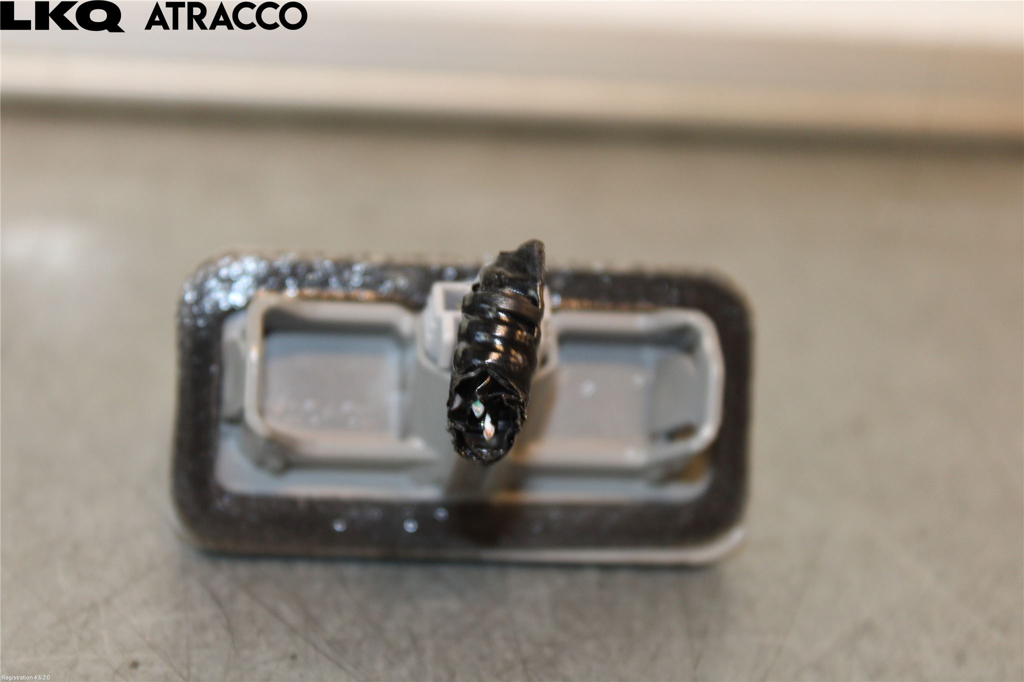 Toyota RAV4 19- Skilt Belysning