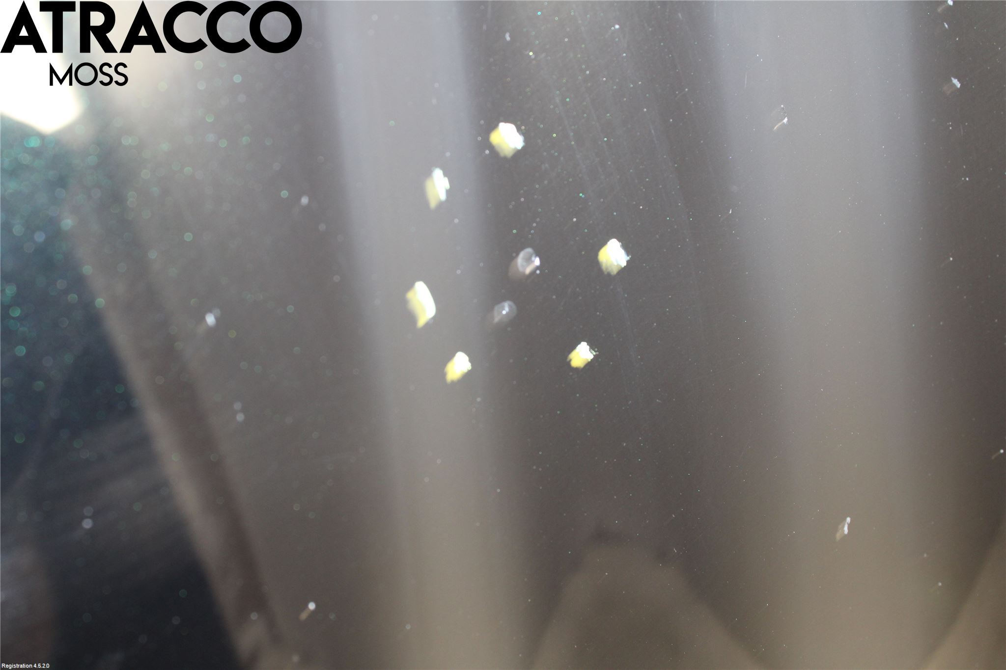 Mercedes-Benz MB E-KLASS (W211) 02-09 Panser