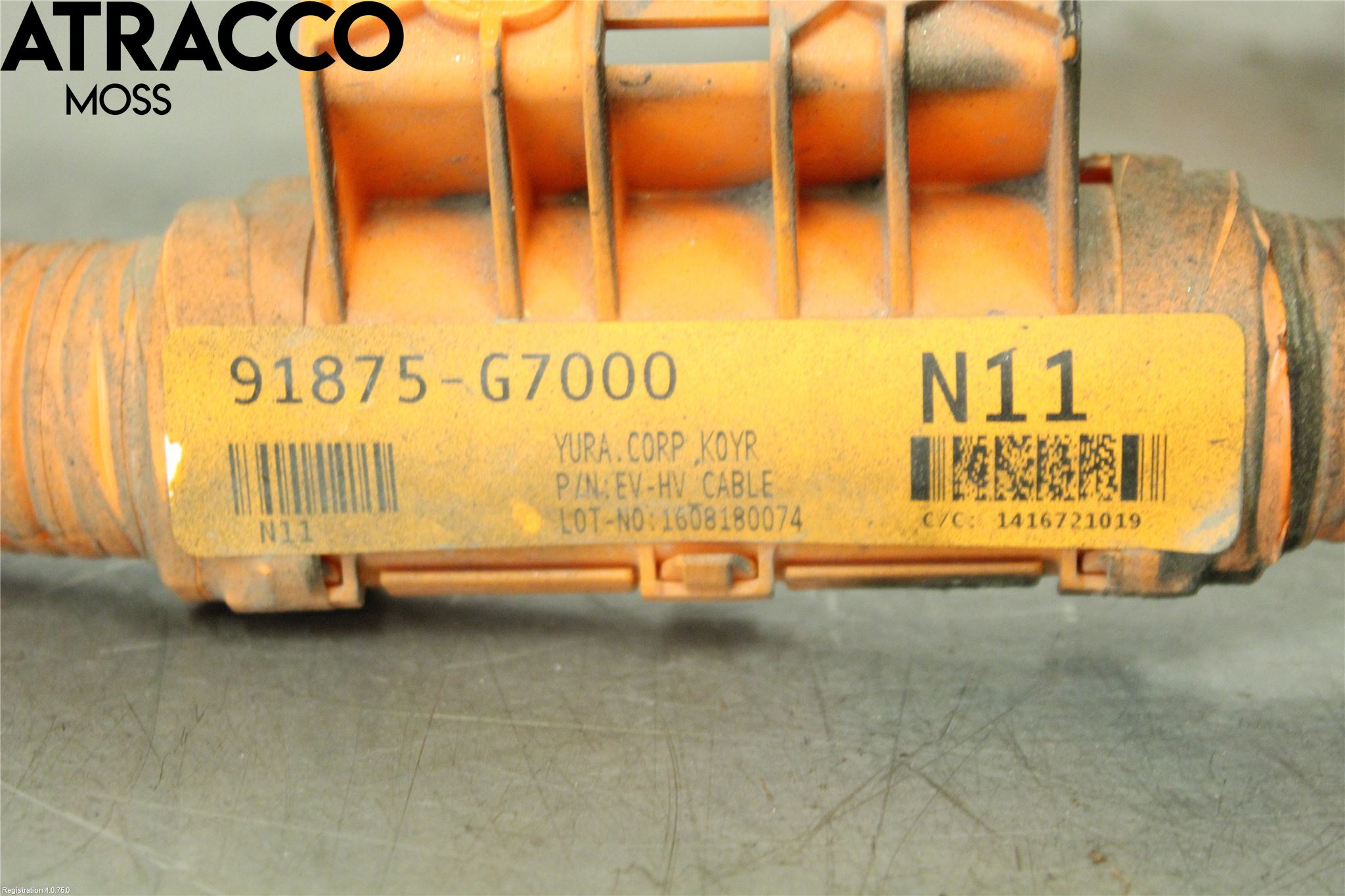 Hyundai IONIQ AE 17-22 Ledningsnett