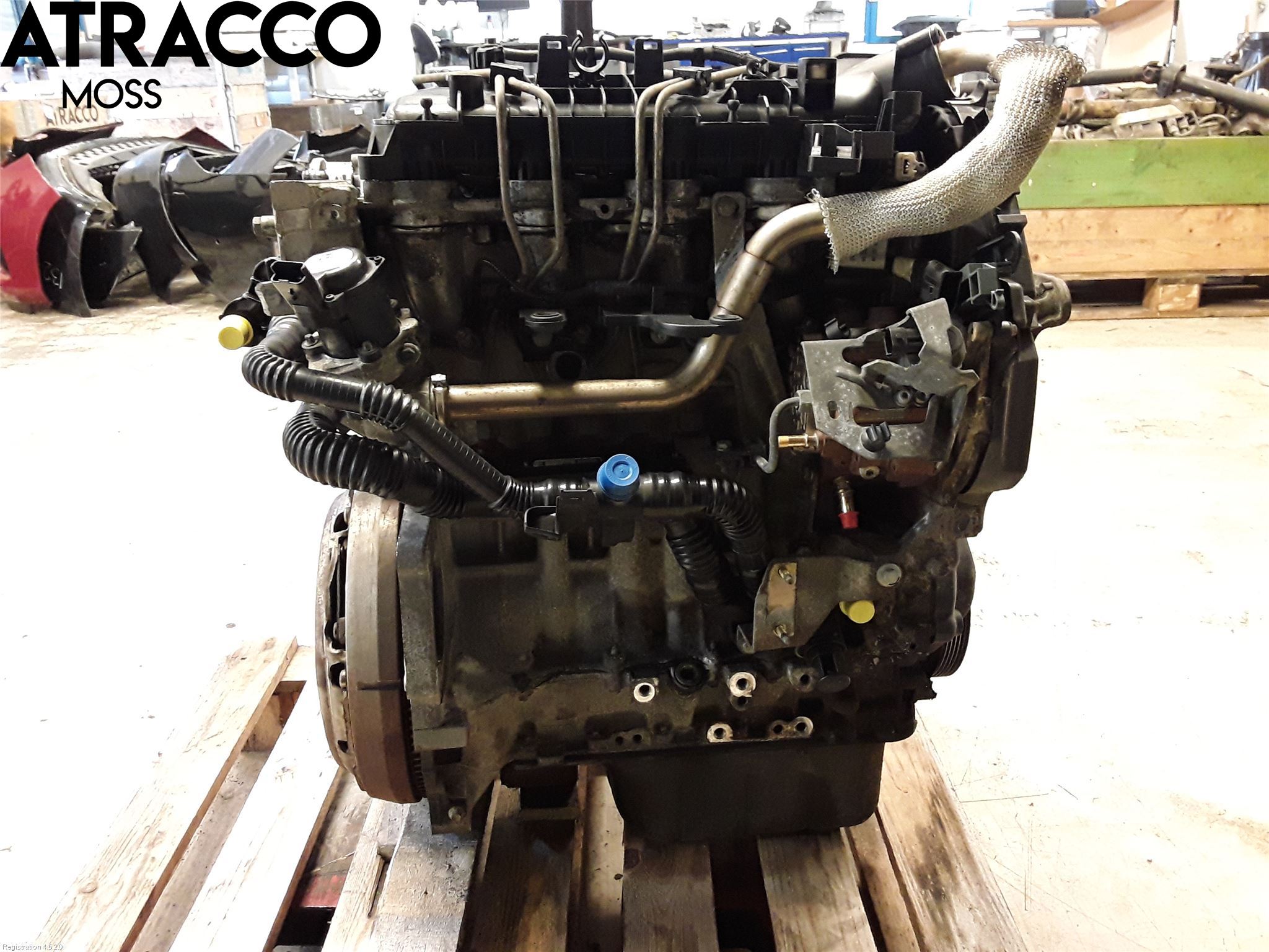 Ford FOCUS     04-07 Motor Diesel