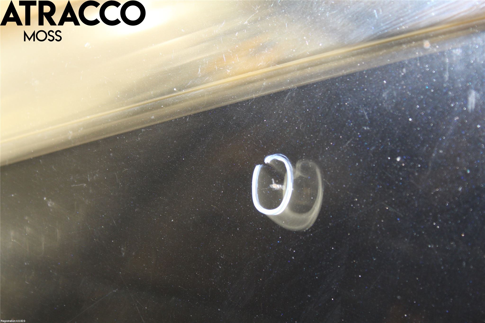 Ford FOCUS 08-11 Panser