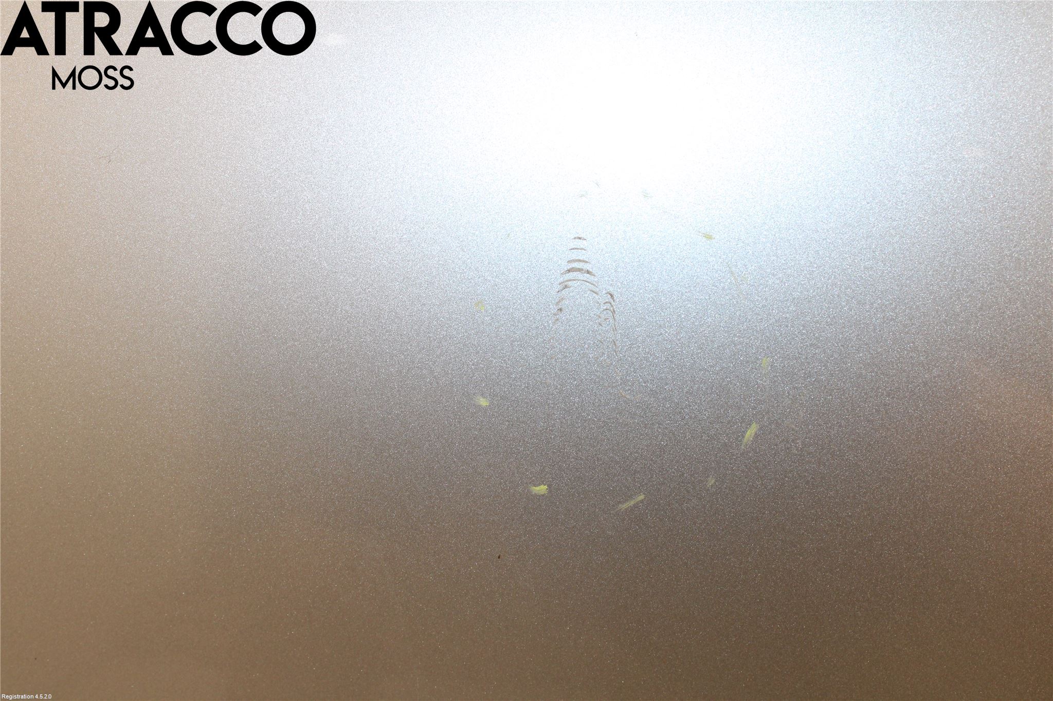 Nissan QASHQAI+2  08-10 Dør 4D Foran Venstre