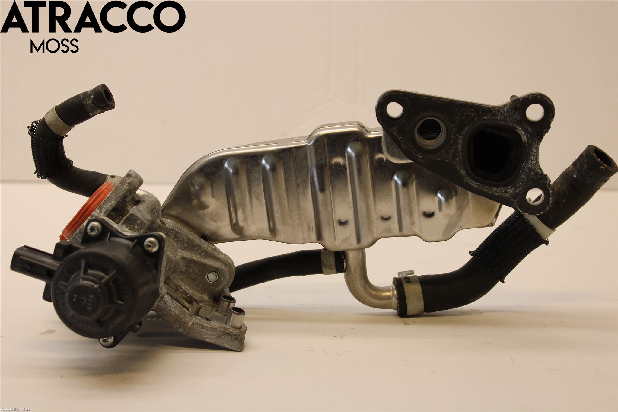 Toyota RAV4 19- Eksos Kjøler