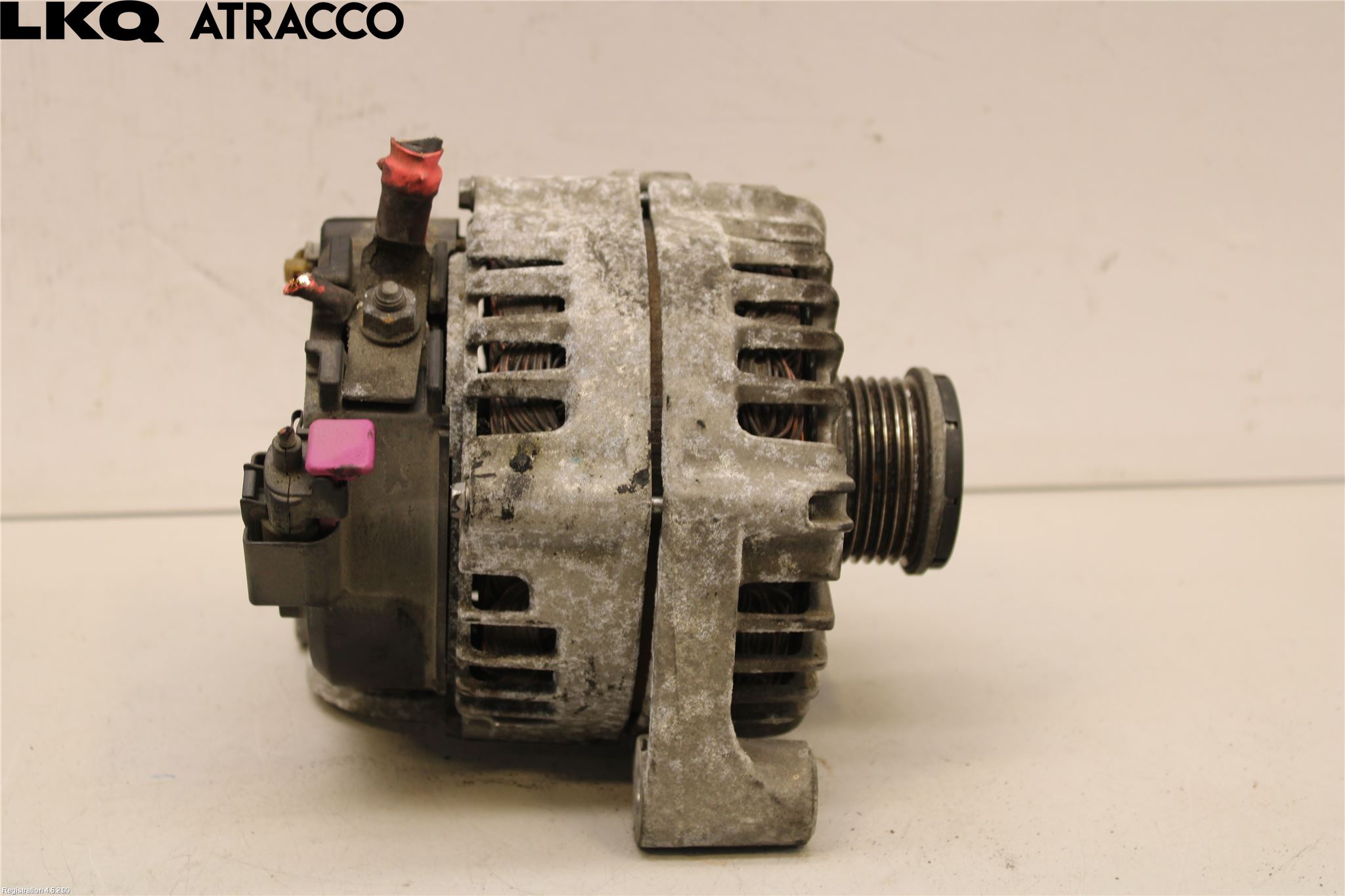 BMW X1 E84 10-15 Dynamo