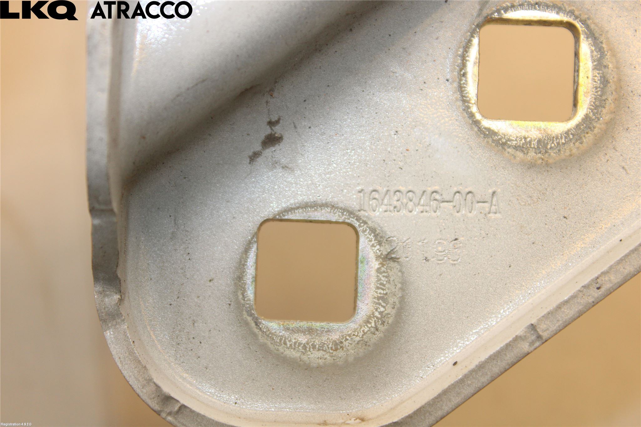 Tesla MODEL 3 17- Panser Hengsel - Hengsler