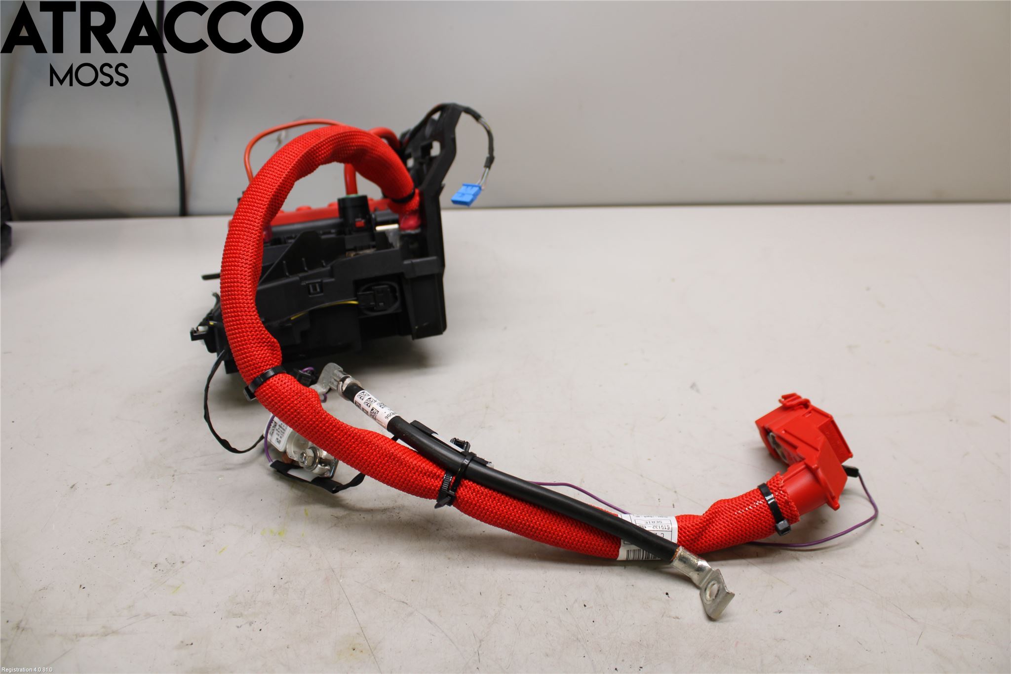 BMW X3 G01 18- Elektrisk Øvrig