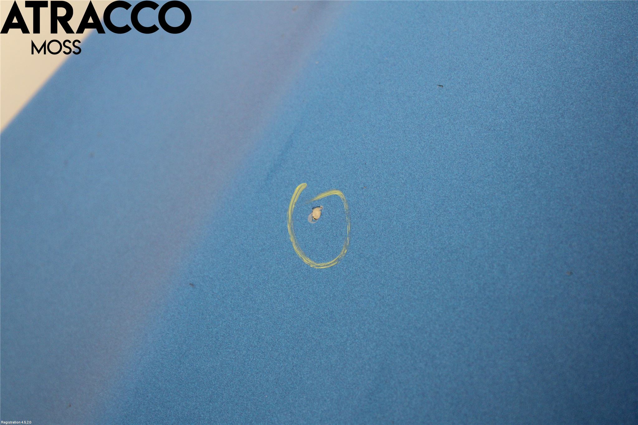 Peugeot 307     01-05 Panser