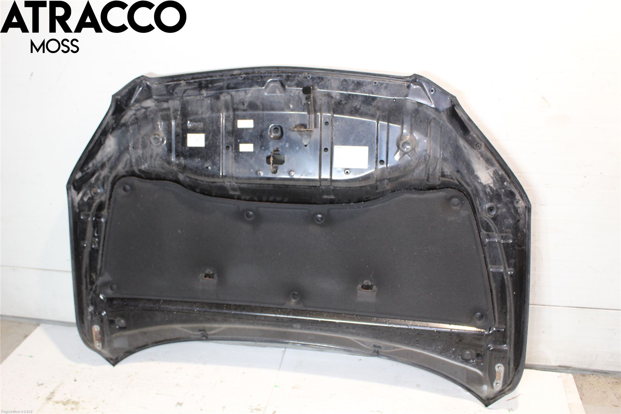 Toyota RAV 4 06-12 Panser