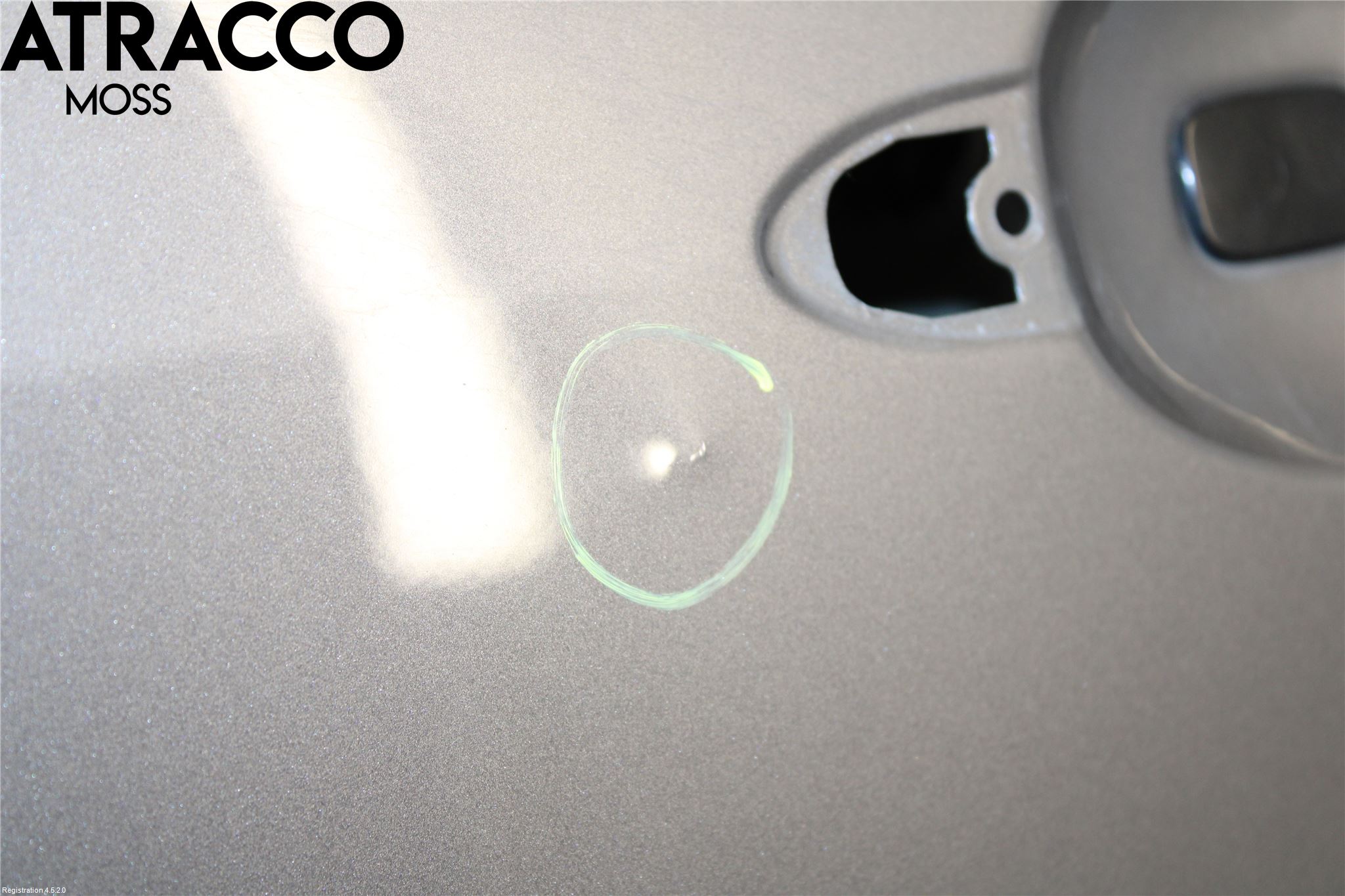 Renault SCÉNIC III / GRAND SCÉNIC 09-16 Dør 4D Bak Venstre