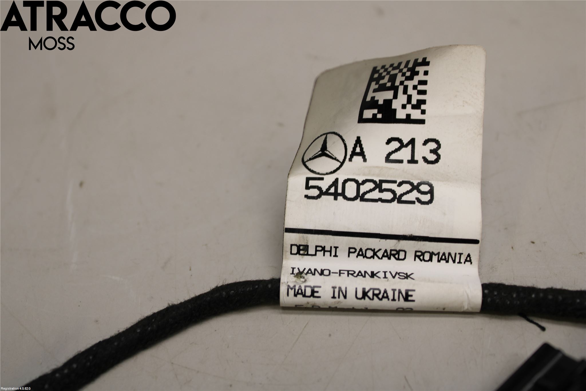 Mercedes-Benz MB E-KLASS (W213) 16-23 Ledningsnett