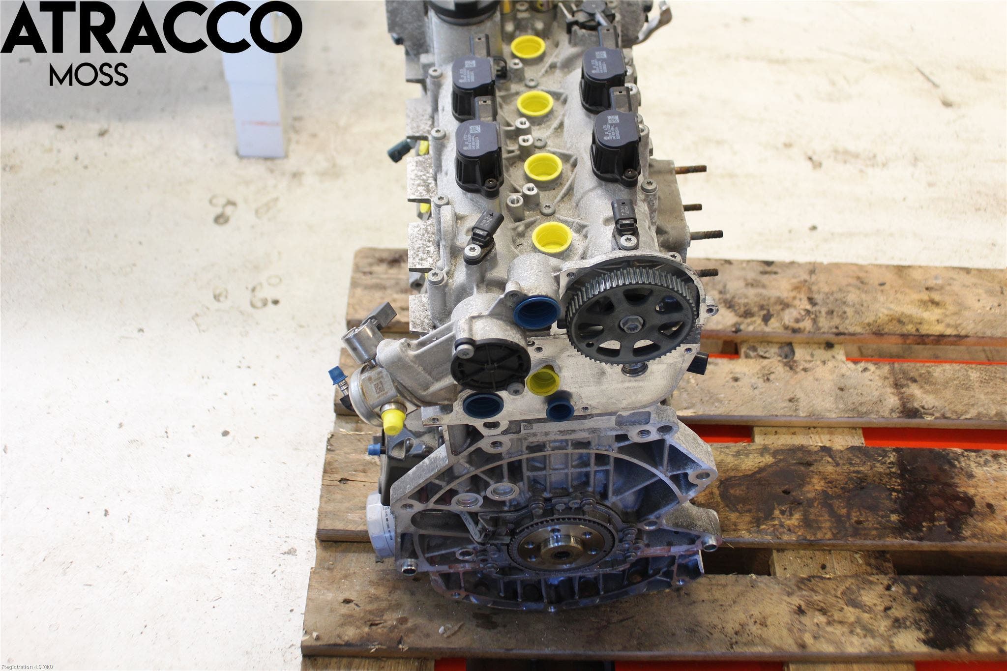 Volkswagen VW TIGUAN 16-24 Motor Bensin