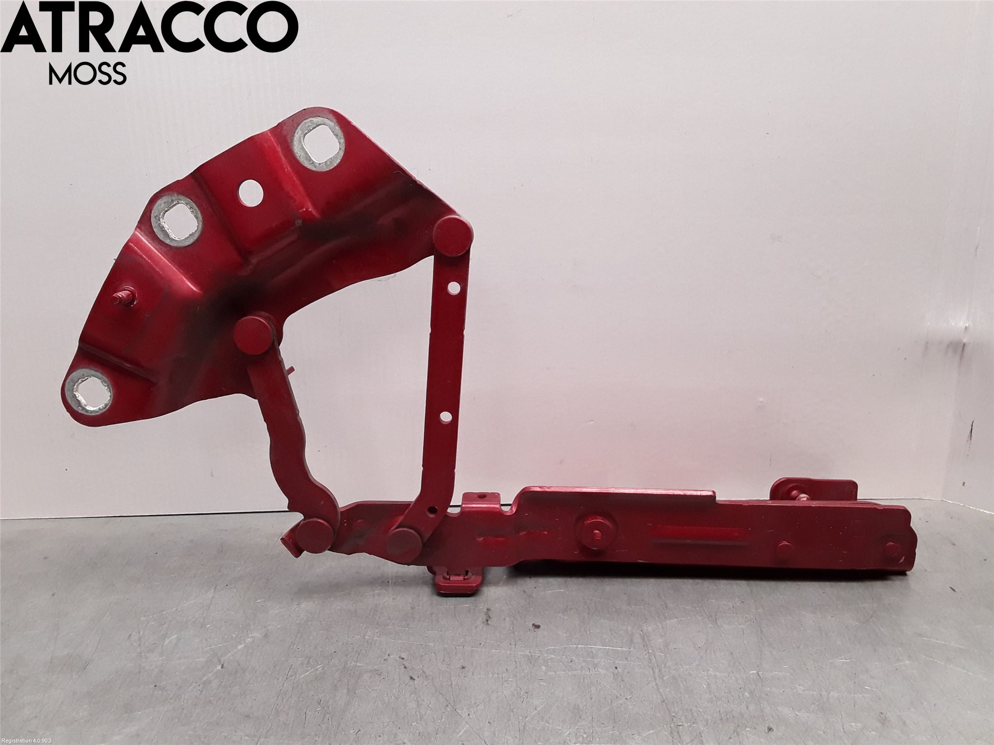 Jaguar I-PACE 18- Panser Hengsel - Hengsler