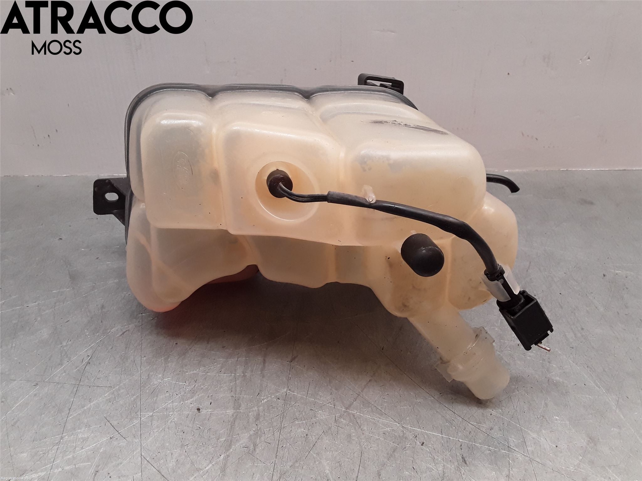 Landrover LAND ROVER RANGE ROVER EVOQUE (L538) 11-18 Ekspansjonstank