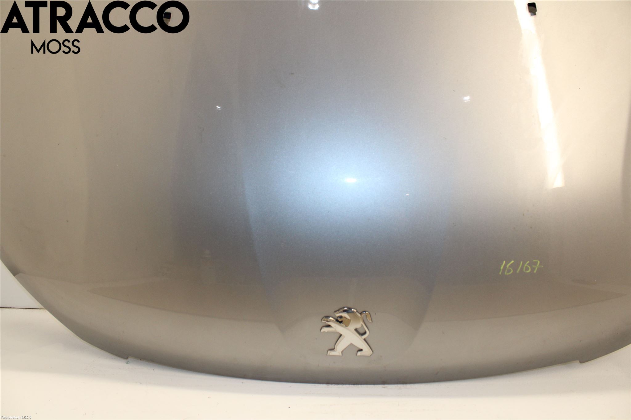 Peugeot 2008 13-20 Panser