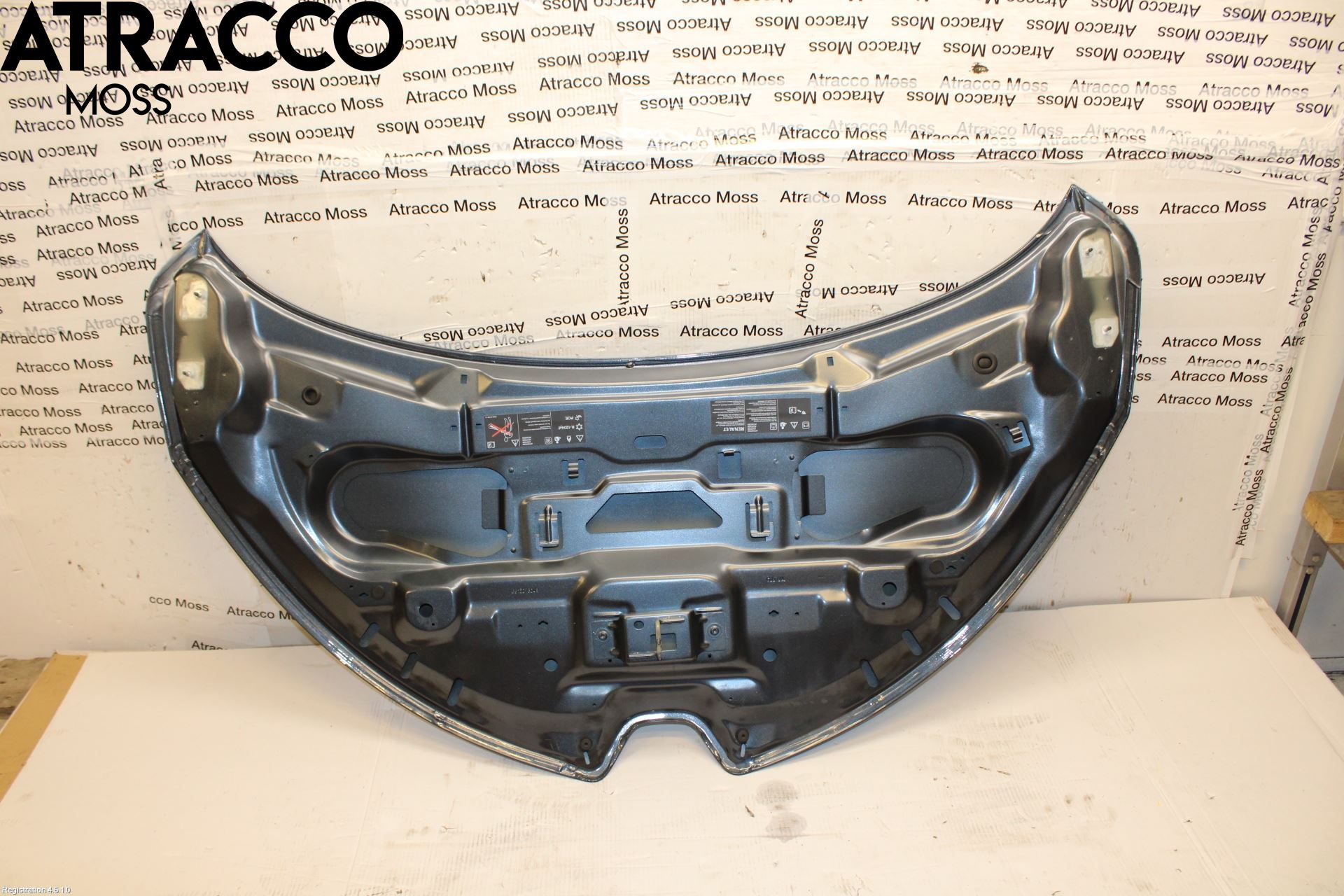 Renault ZOE/E-TECH 13- Panser