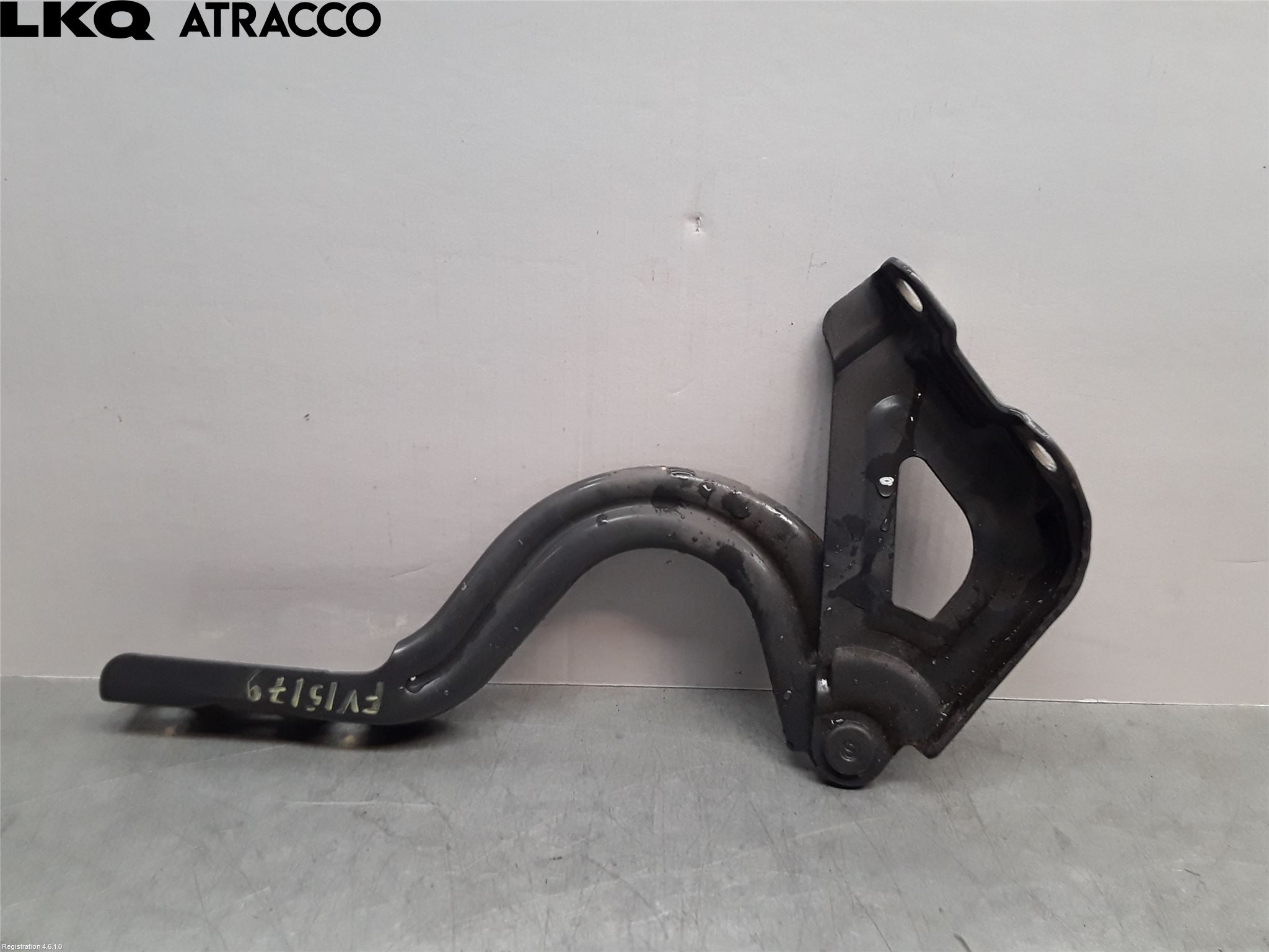 Hyundai IONIQ AE 17-22 Panser Hengsel - Hengsler