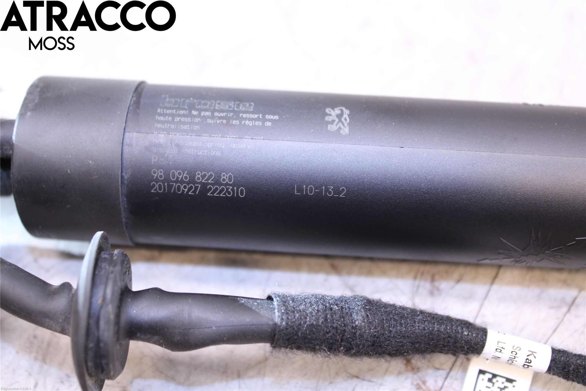 Peugeot 3008 17-24 Bakluke Demper-Gassfjær