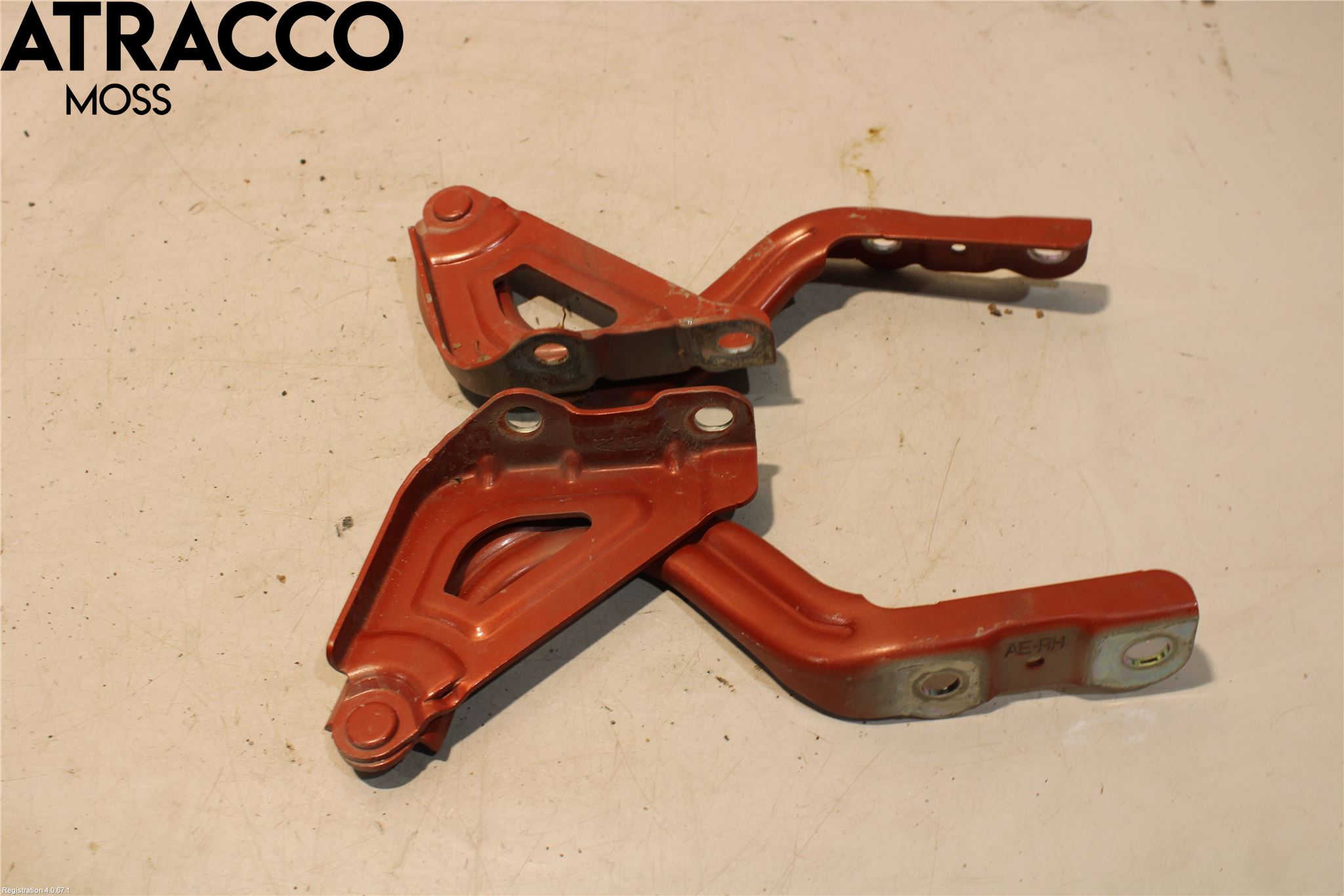 Hyundai IONIQ AE 17-22 Panser Hengsel - Hengsler