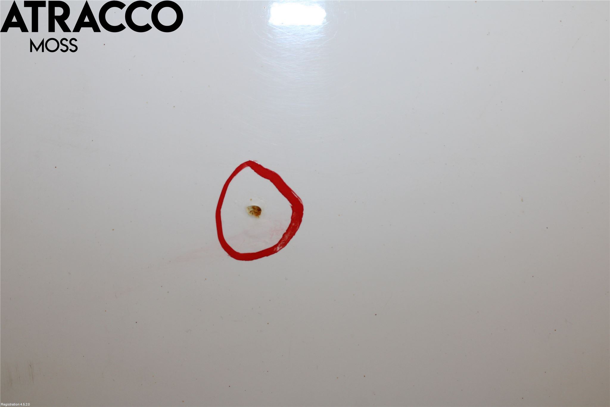 Ford TRANSIT CONNECT 03-08 Dør Bak Van - Vare Høyre