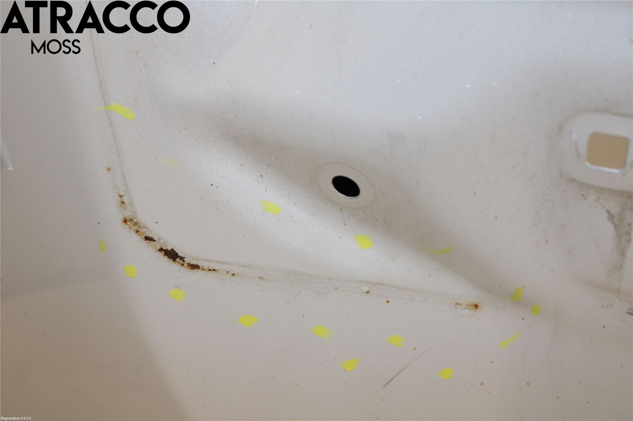 Toyota PRIUS+ ZVW40 12-20 Bakluke Cc - Kombi