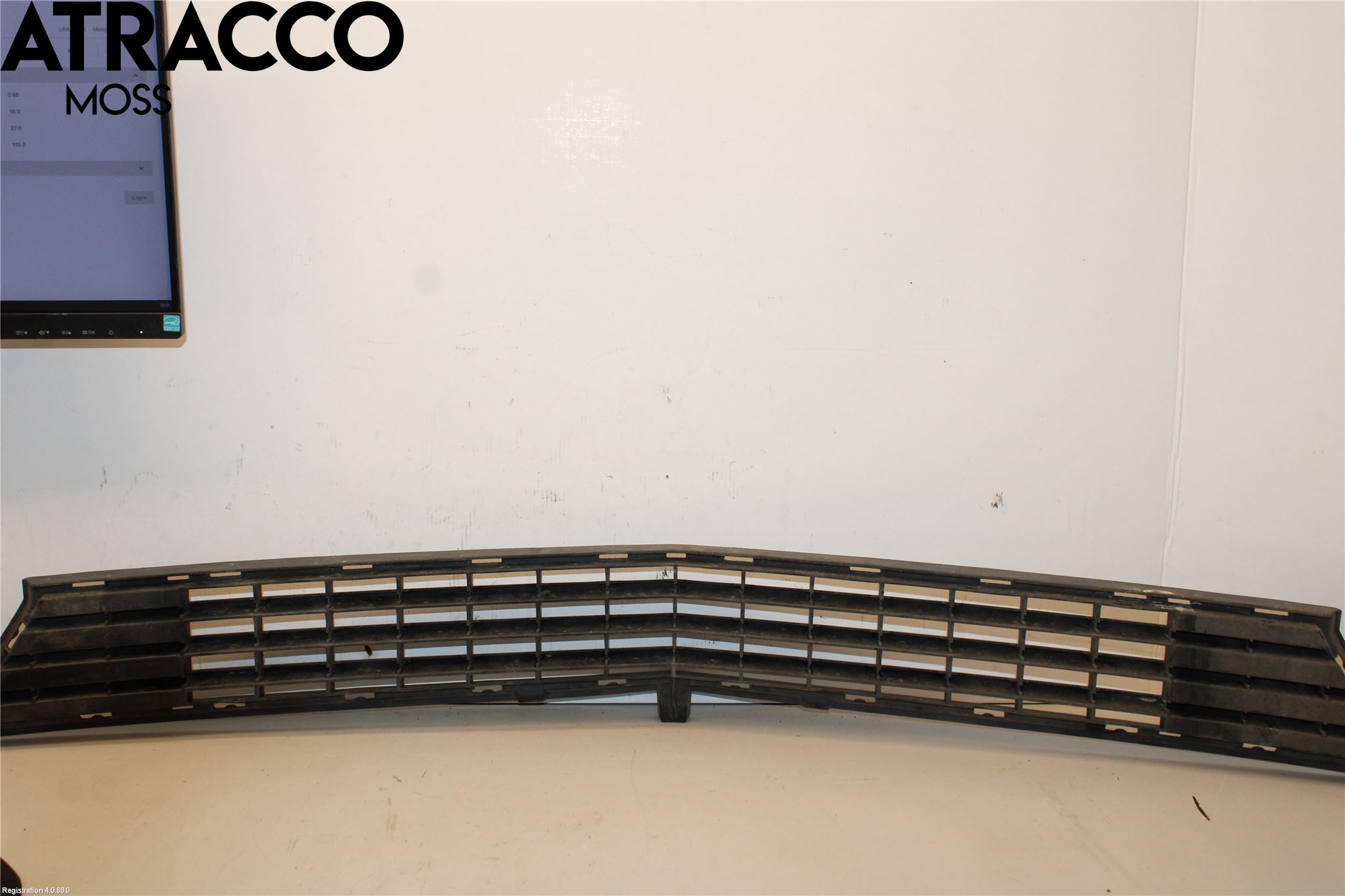 Mercedes-Benz MB B-KLASS (W245) 05-12 Grill-Gitter