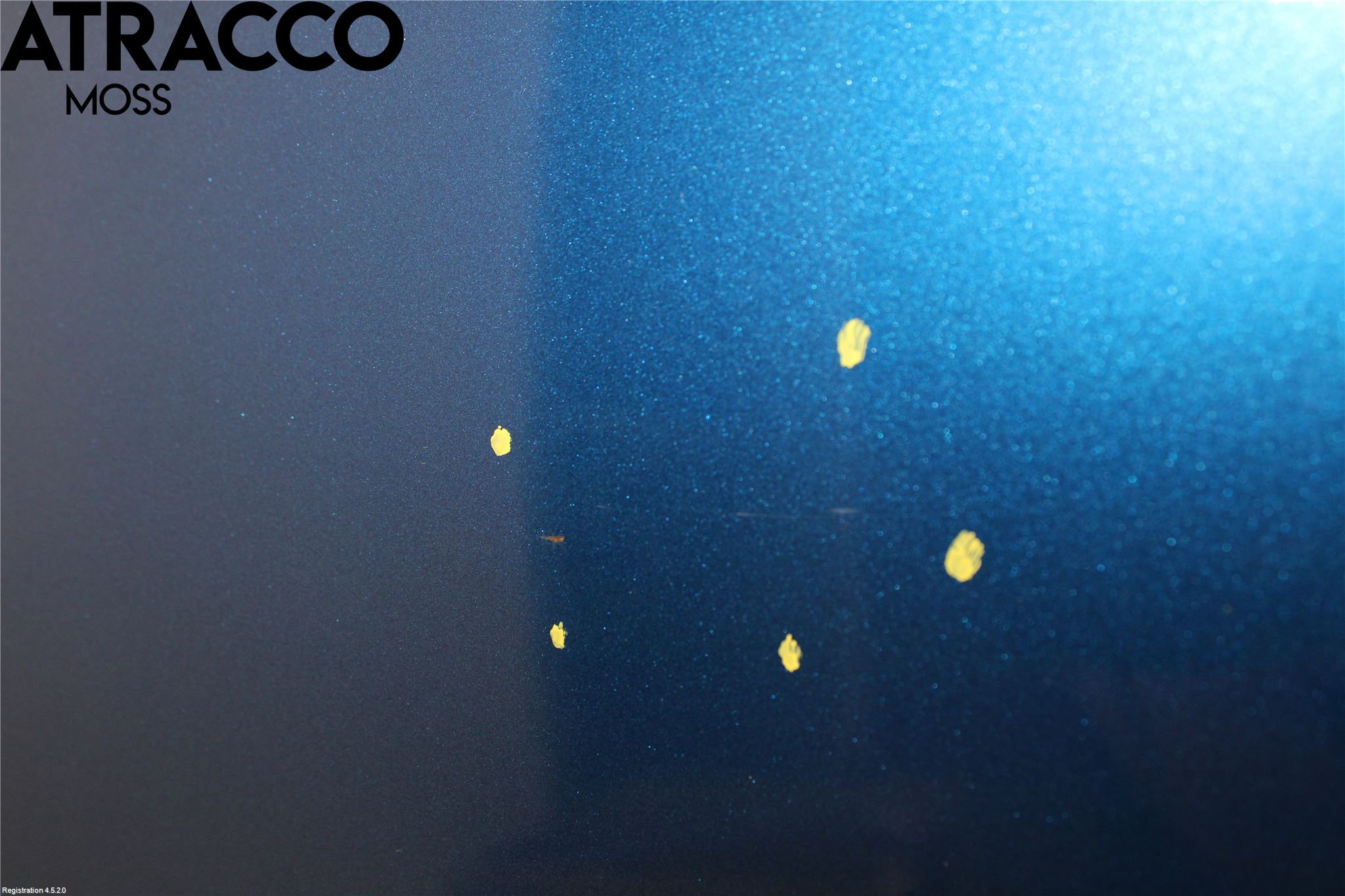 Toyota AURIS 13-19 Dør 4D Bak Venstre