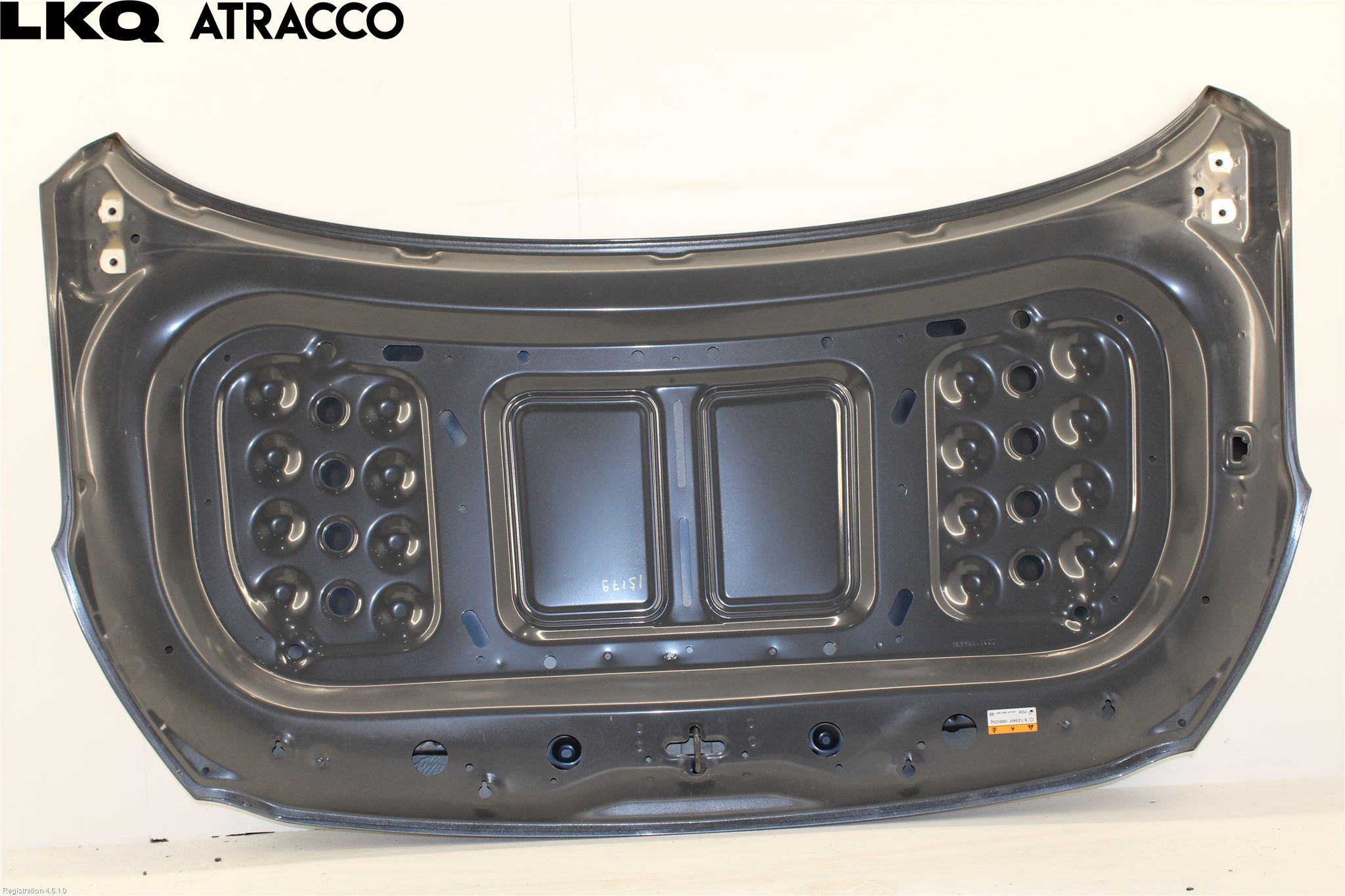 Hyundai IONIQ AE 17-22 Panser