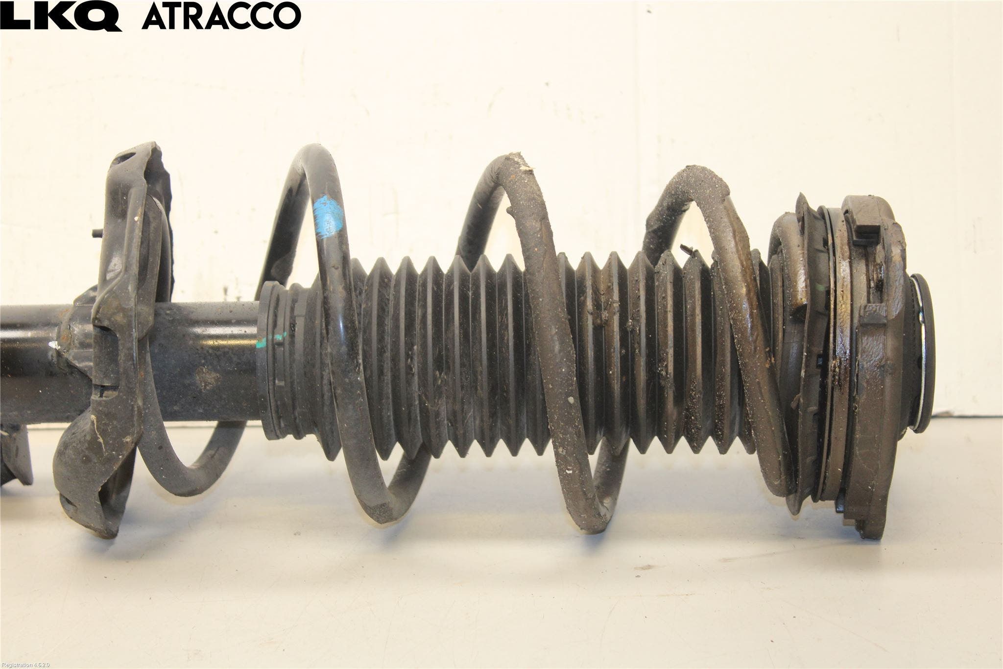 MG 4 23- Fjærbein Foran Venstre