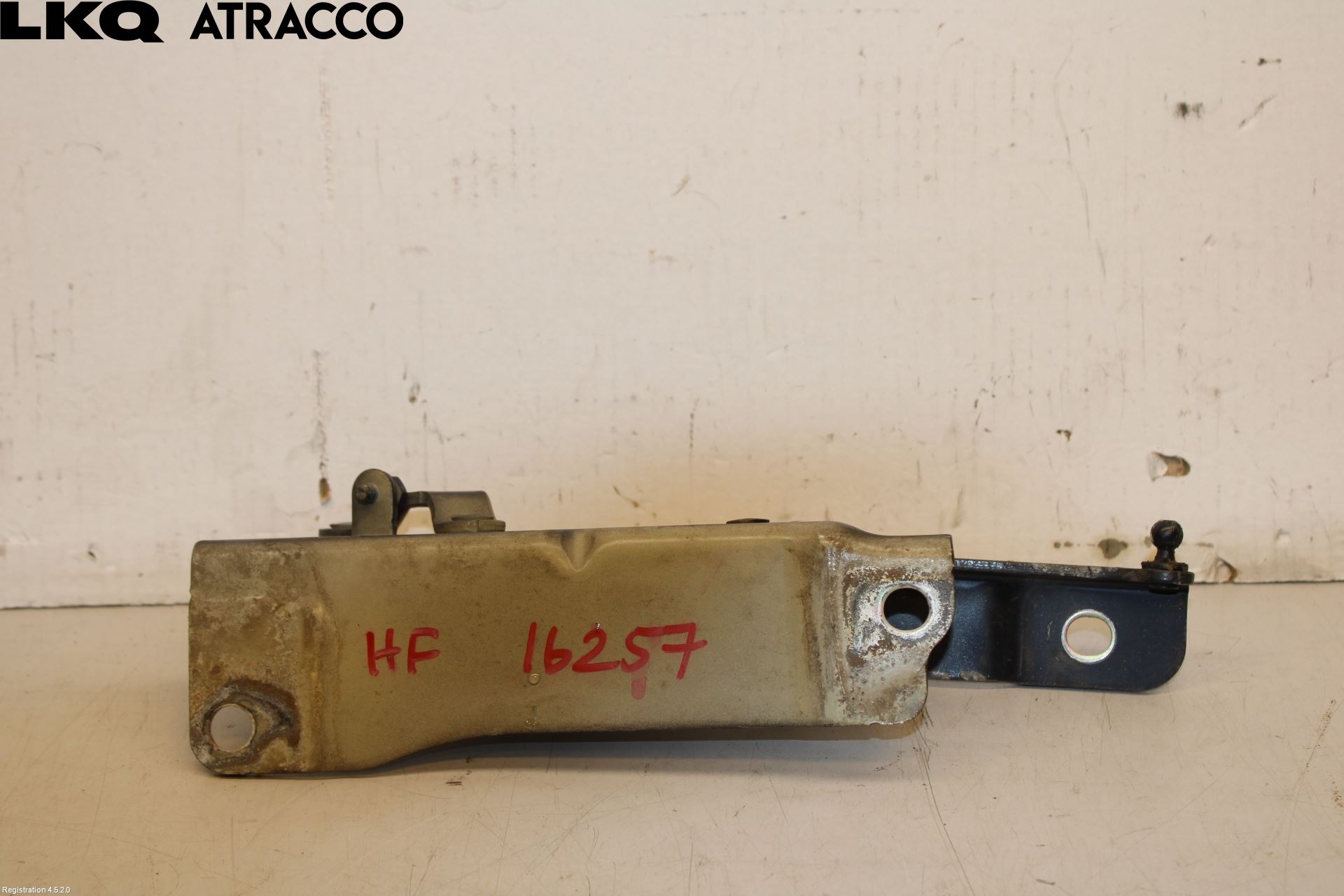 Kia OPTIMA 16-20 Panser Hengsel - Hengsler