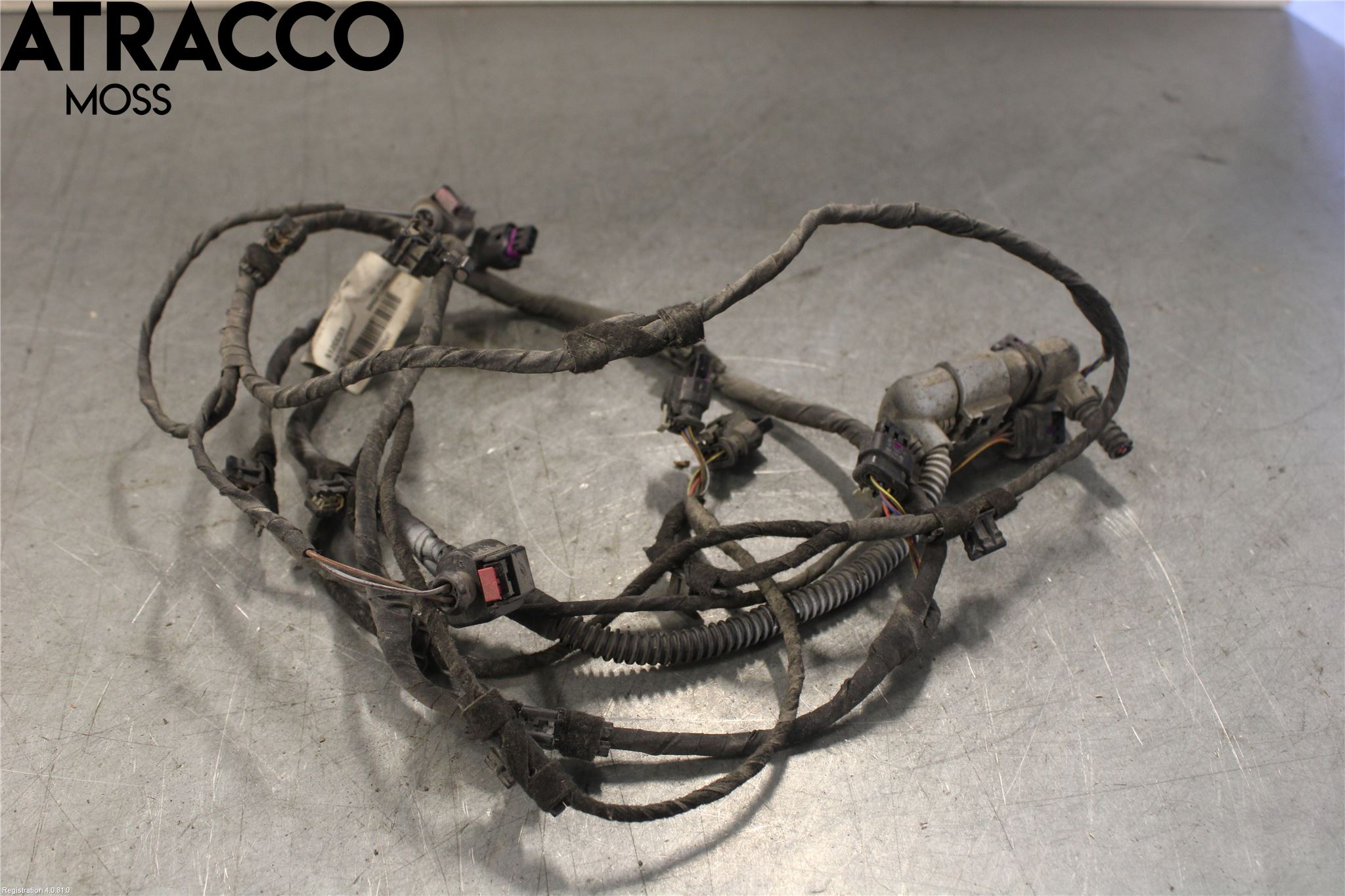 Volkswagen VW GOLF / E-GOLF VII 13-20 Ledningsnett