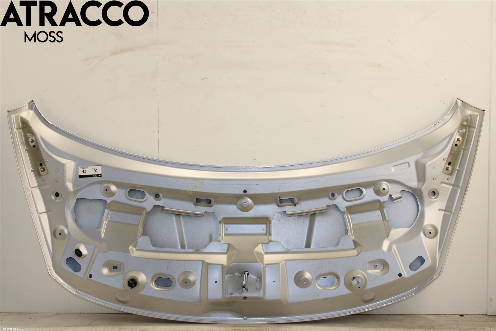 Peugeot 3008 09-16 Panser