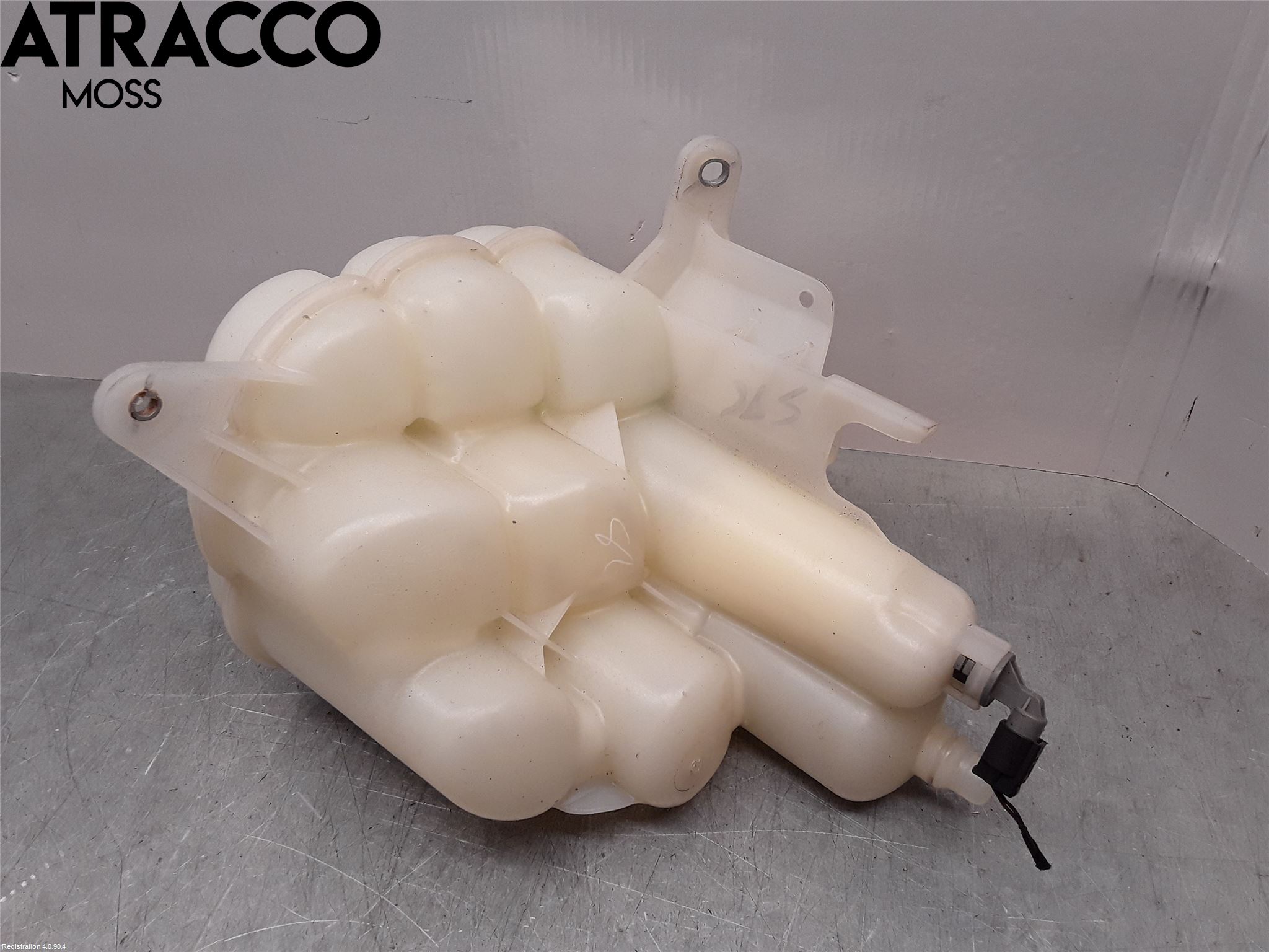 BMW X5 F15 13-18 Ekspansjonstank